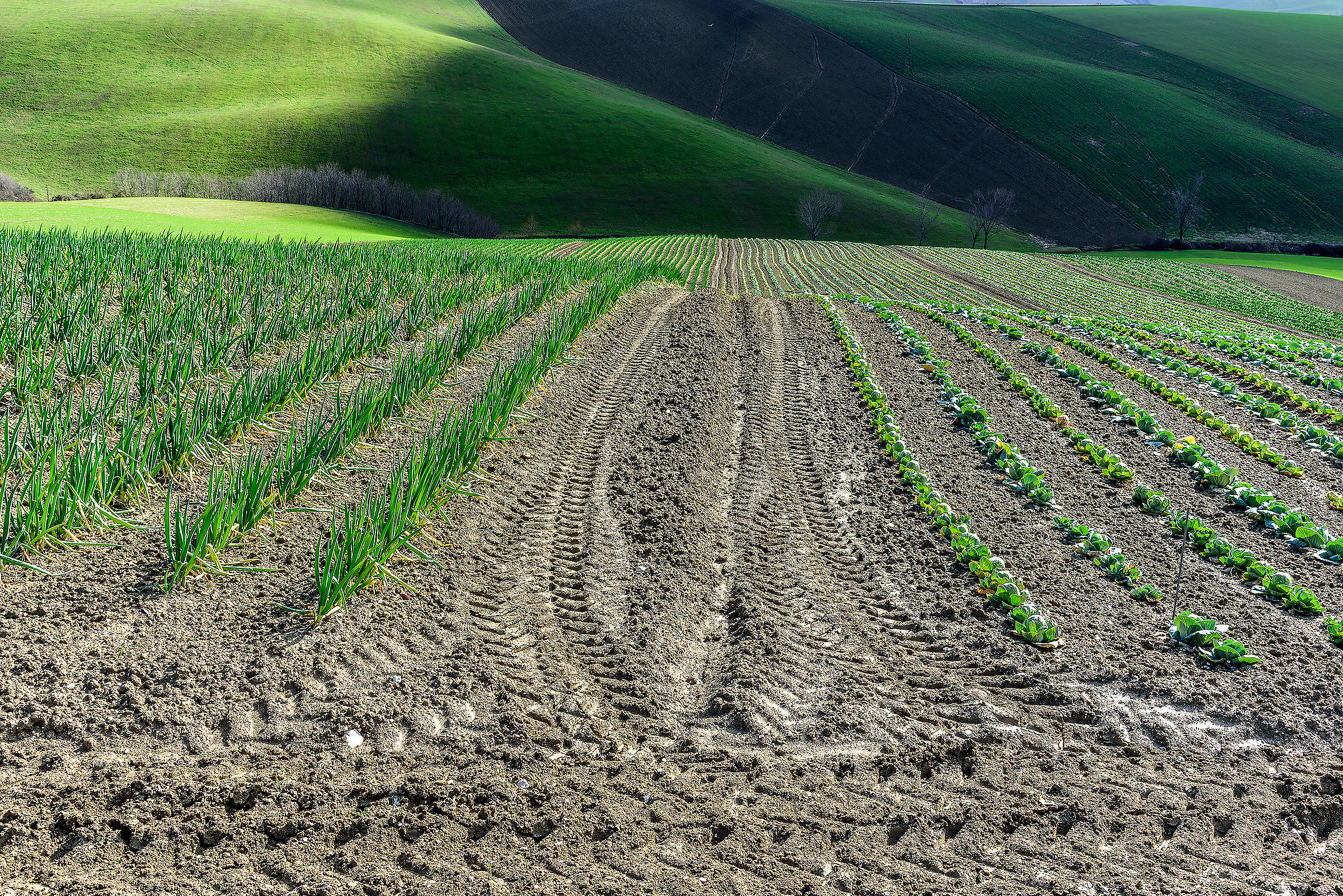 Man and landscape (1)