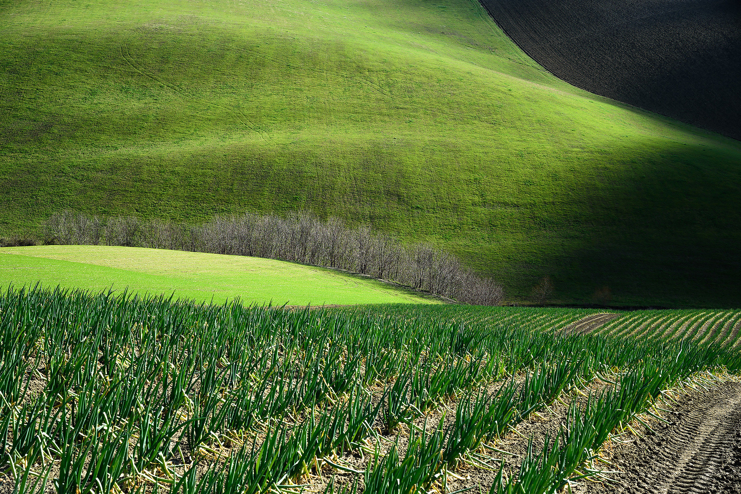 Man and landscape (2)