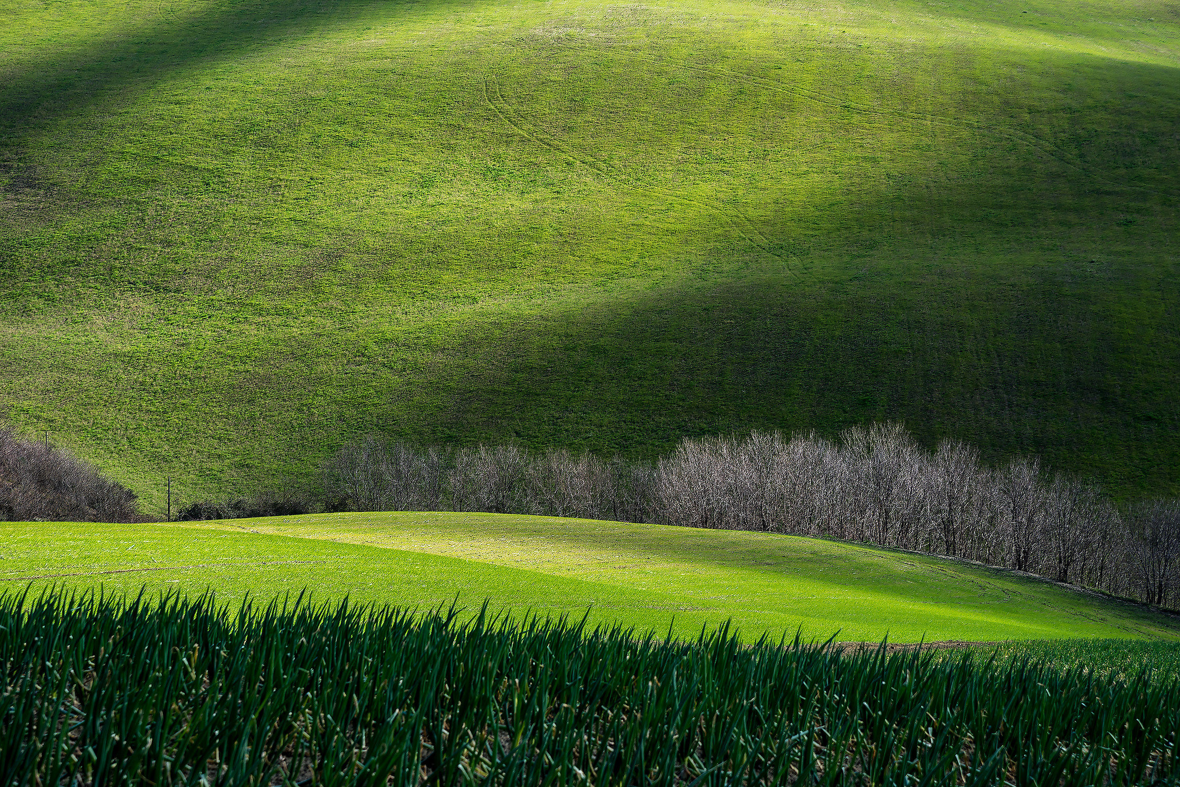 Man and landscape (3)