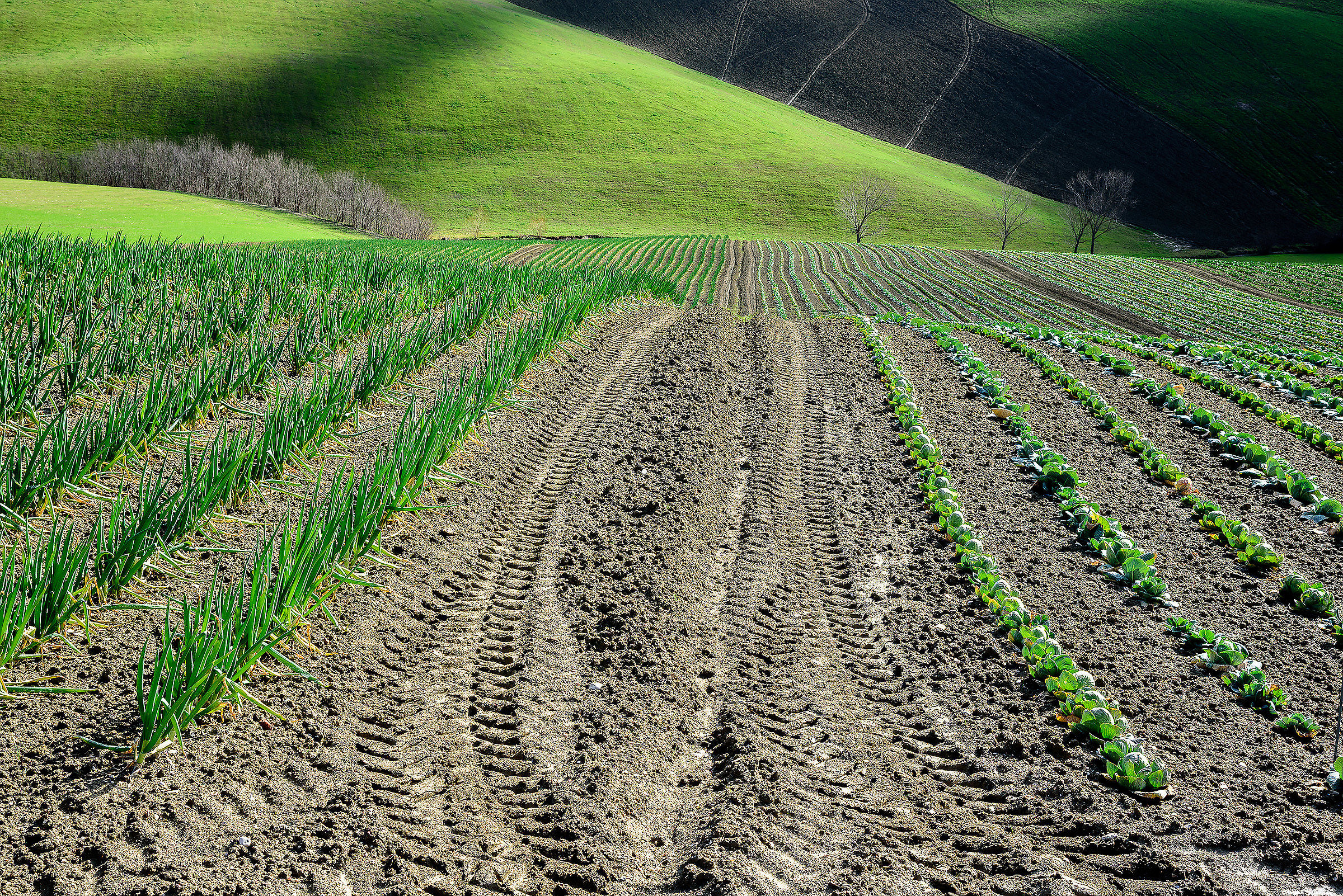 Man and landscape (4)