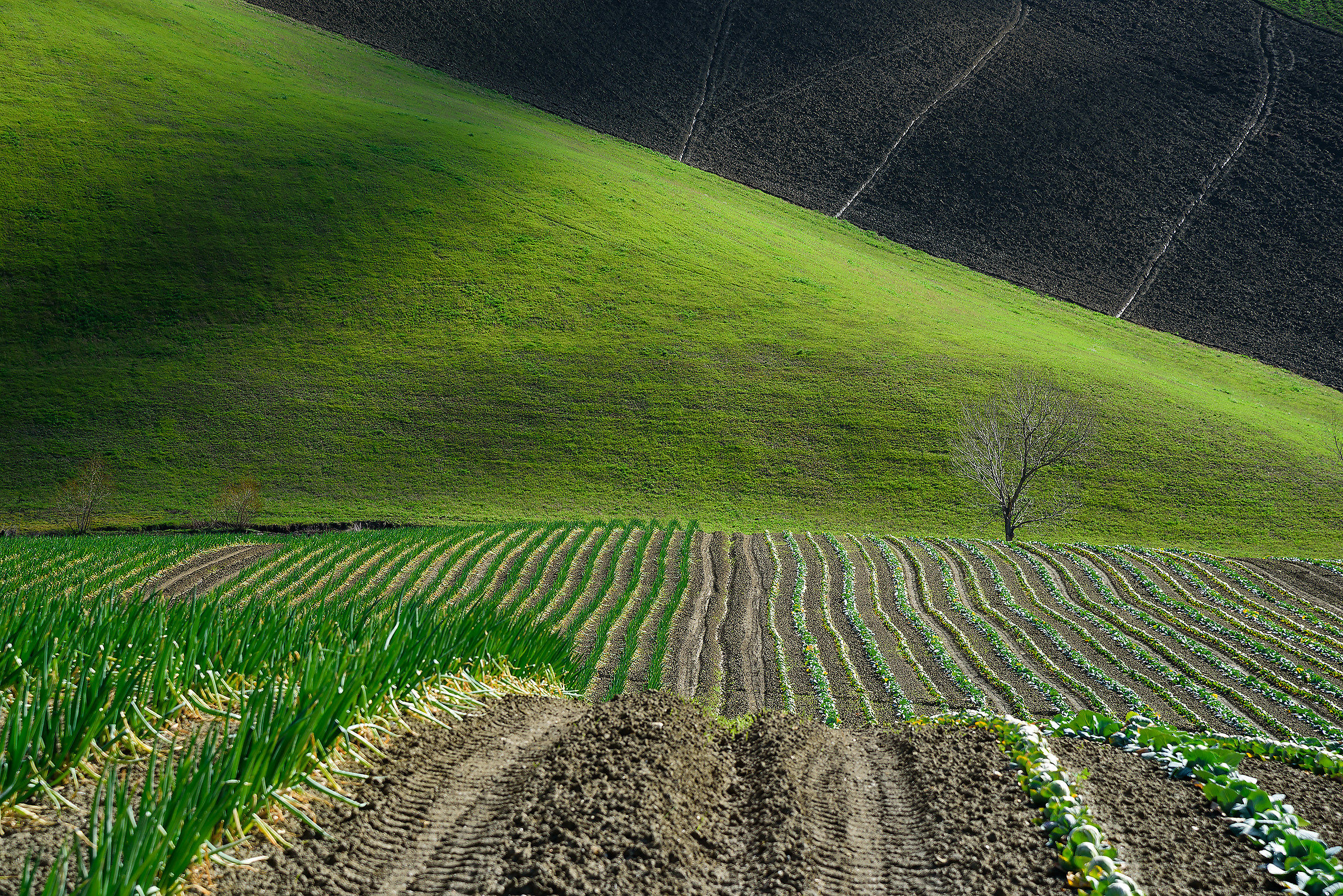 Man and landscape (5)