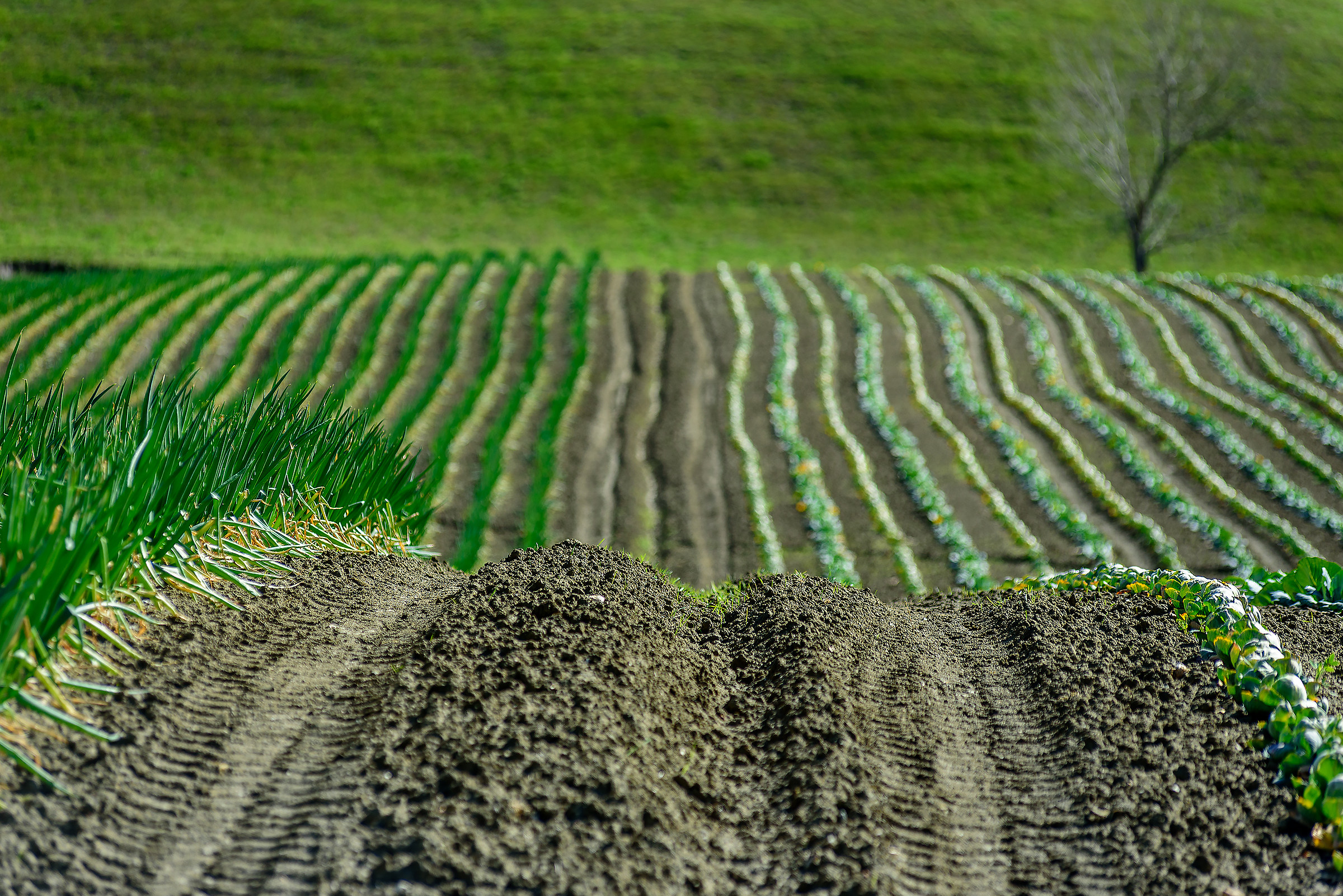 Man and landscape (7)