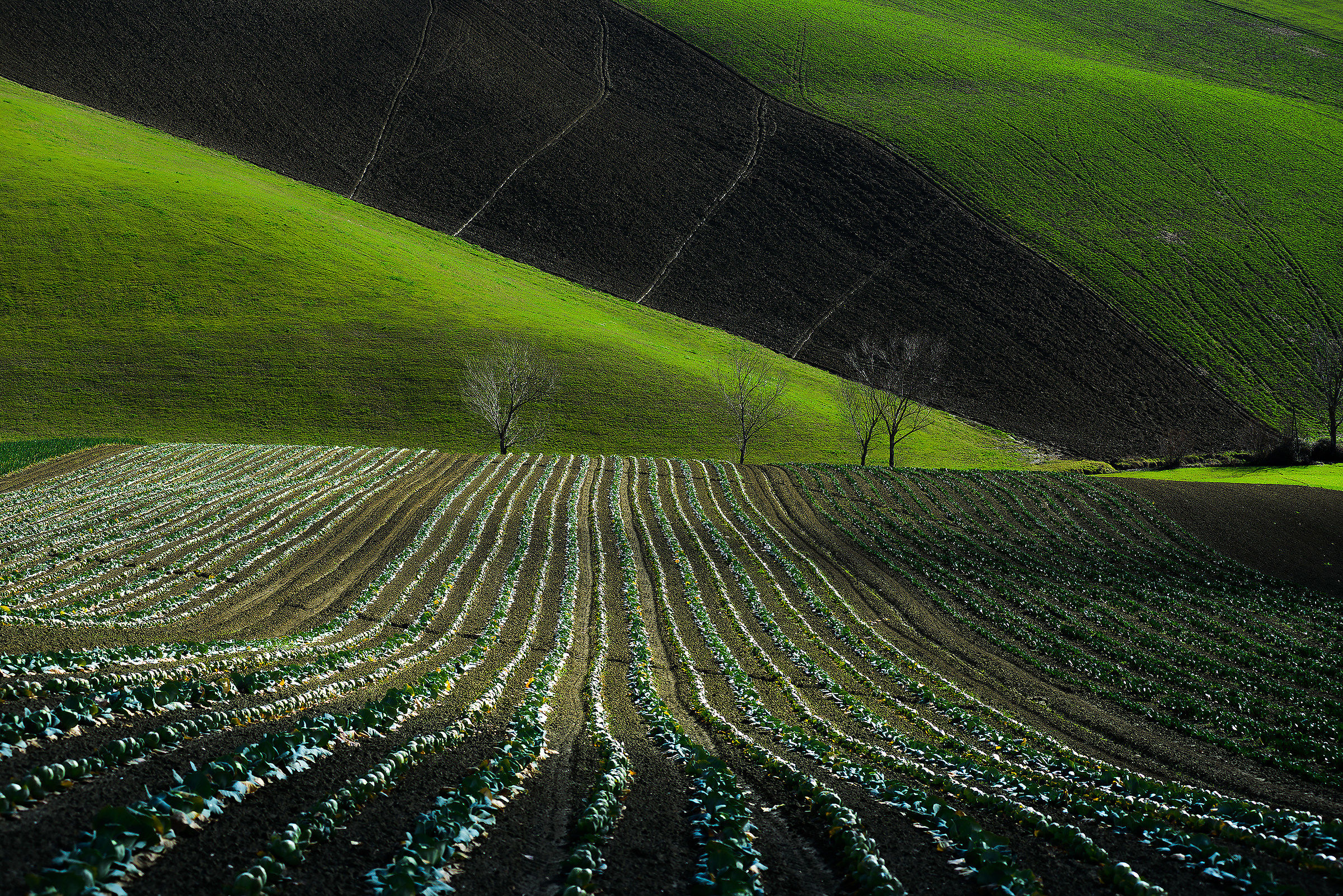 Man and landscape (8)