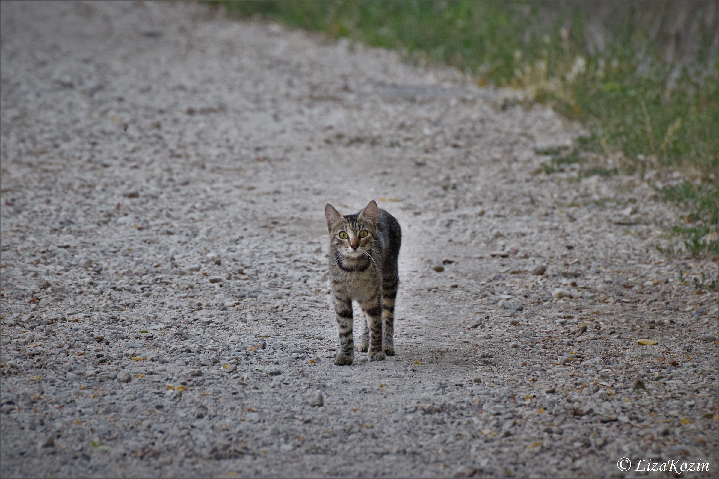 Fragility is a good thing