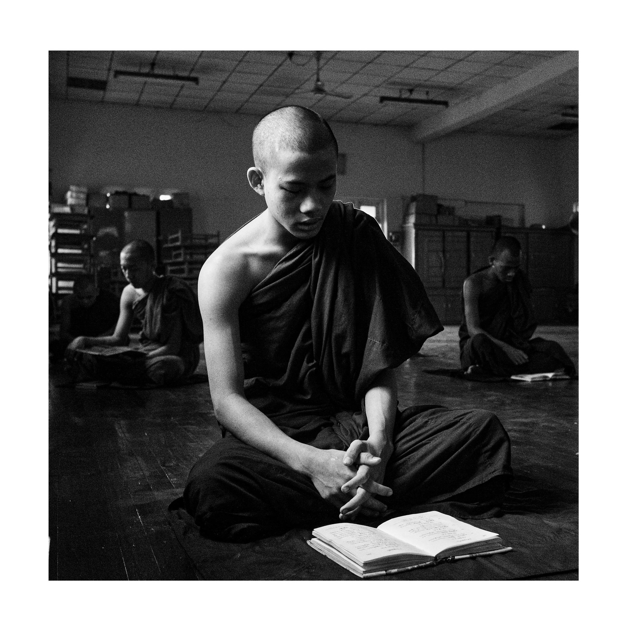 Monk during the study