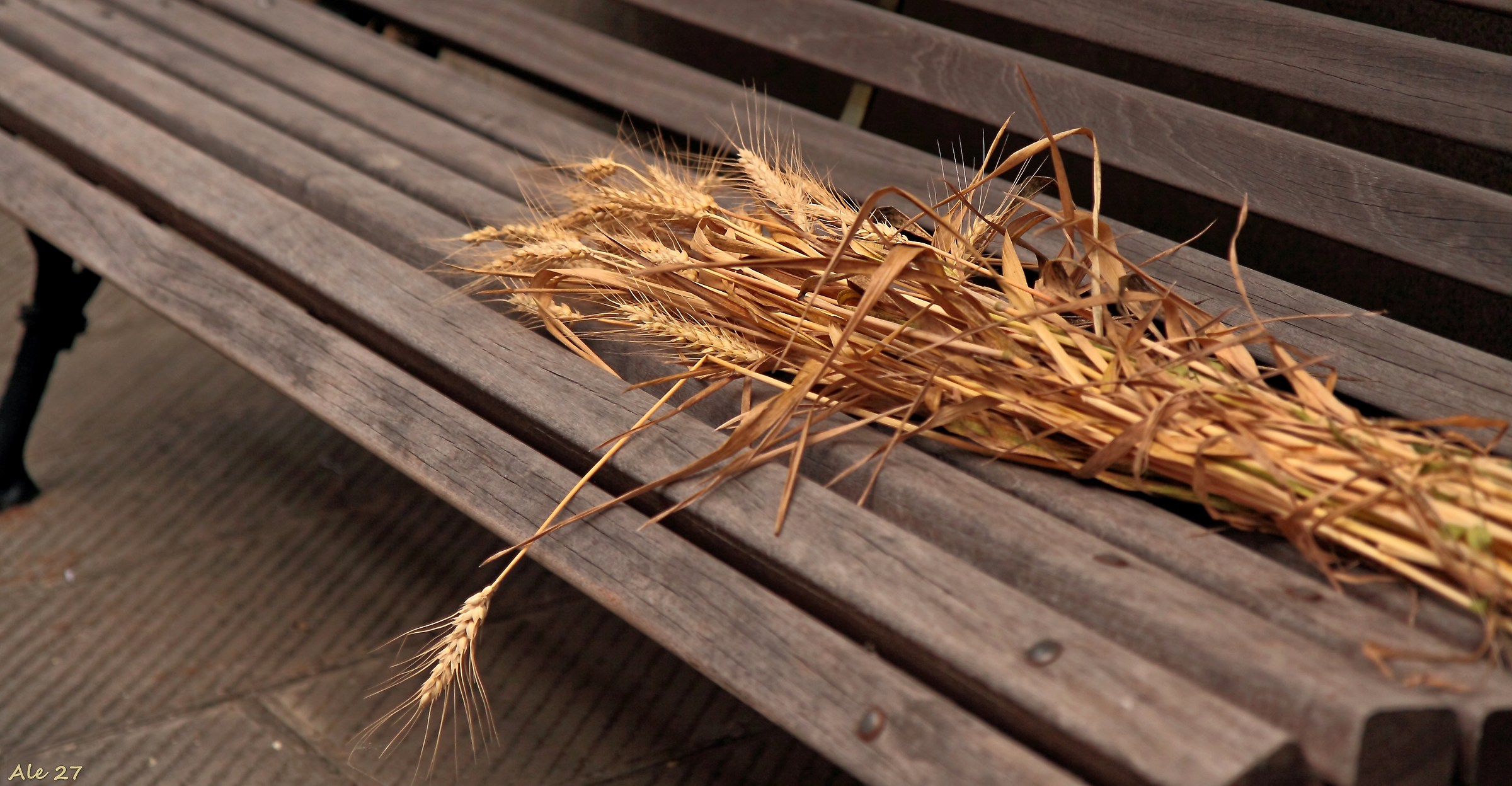 ... the summer ... on a bench ...
