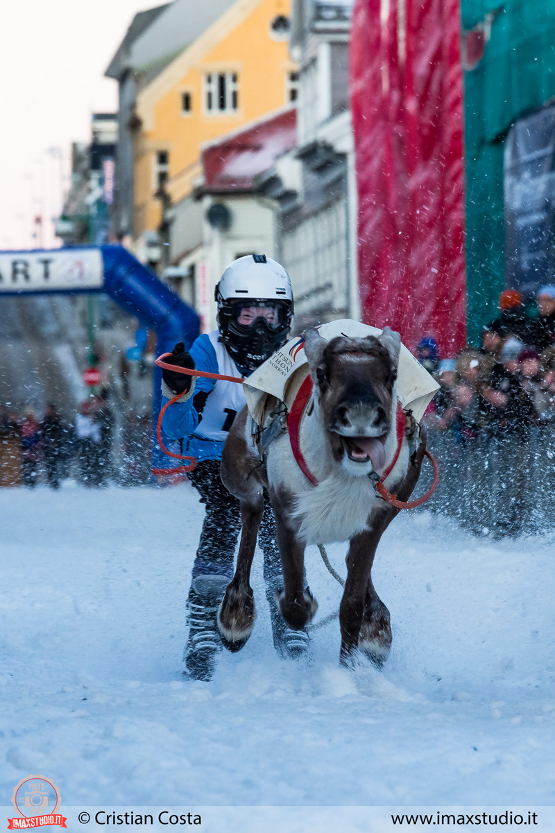 Sami Artic Reindeer Race 2017