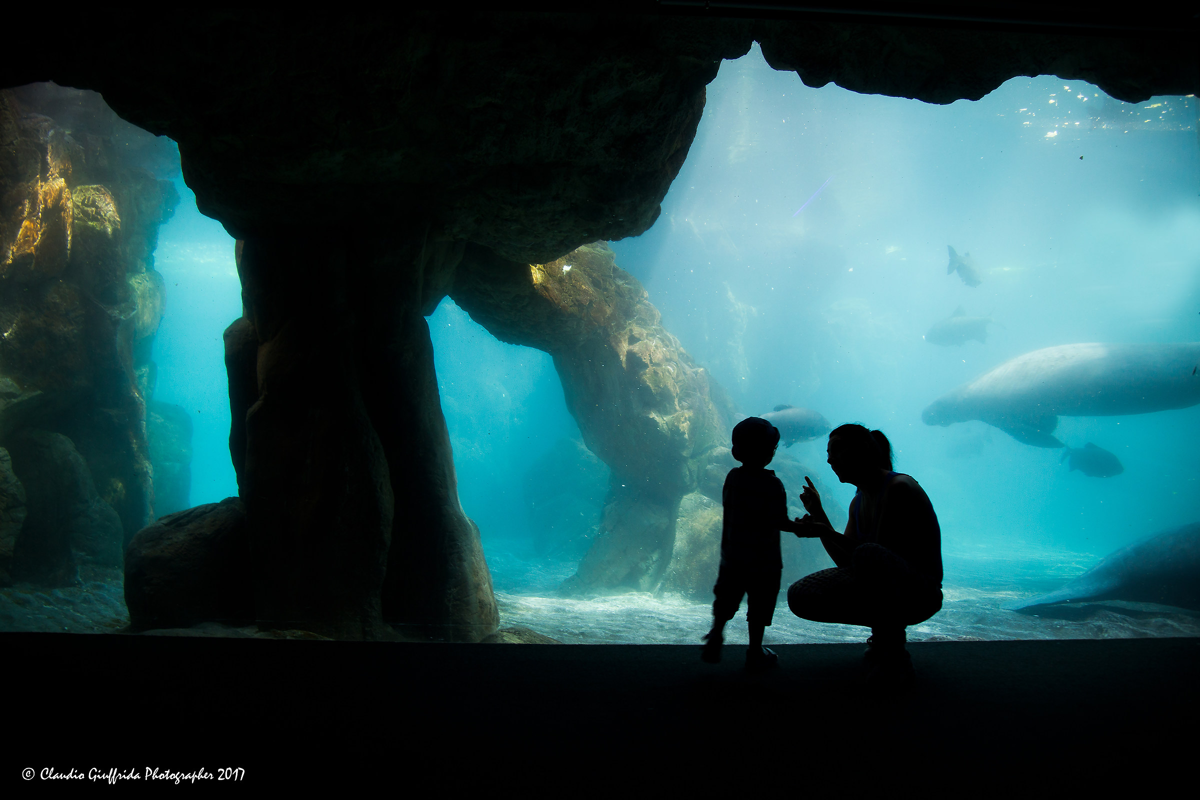 il piacere della scoperta