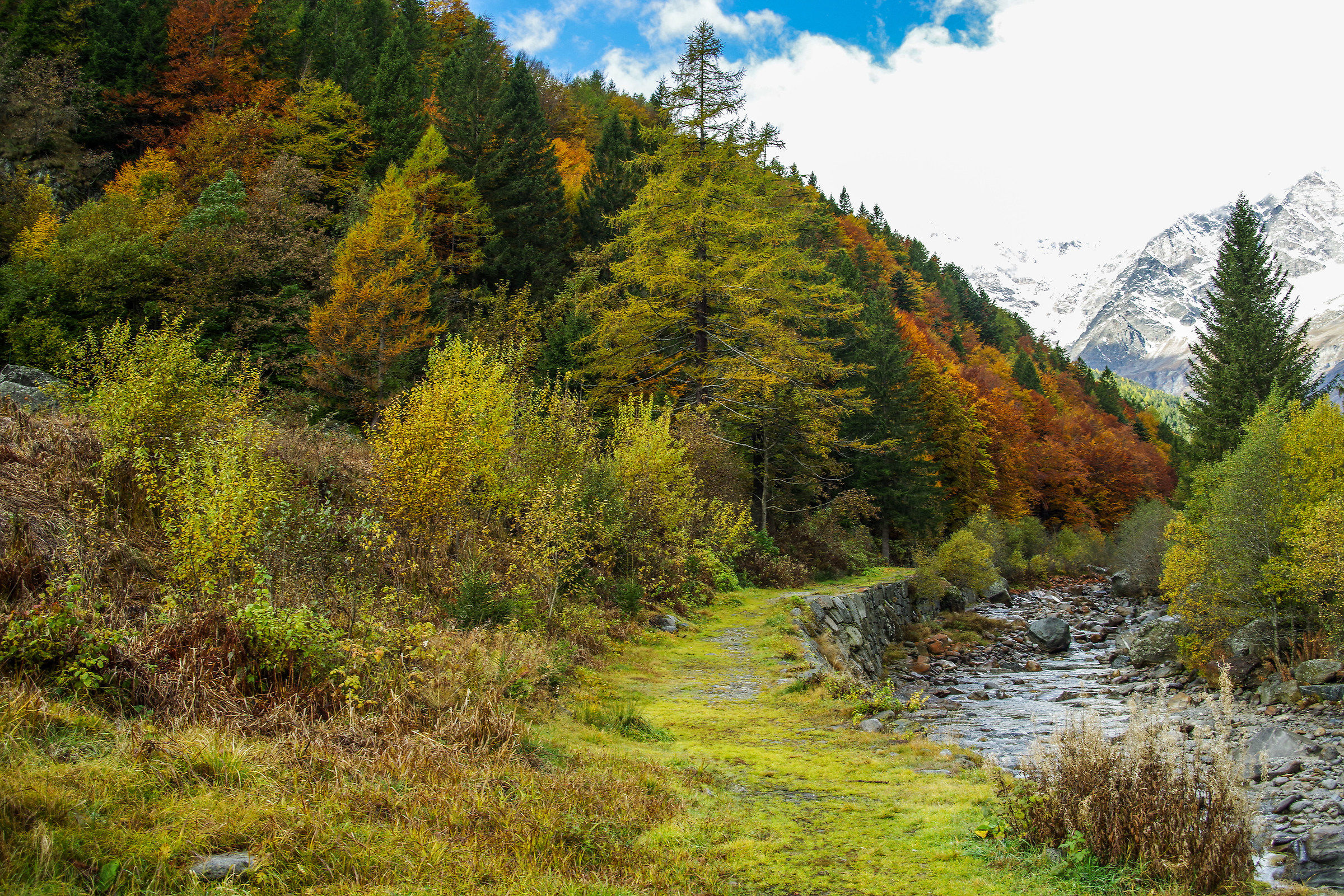Autumn on the Anzasca stream