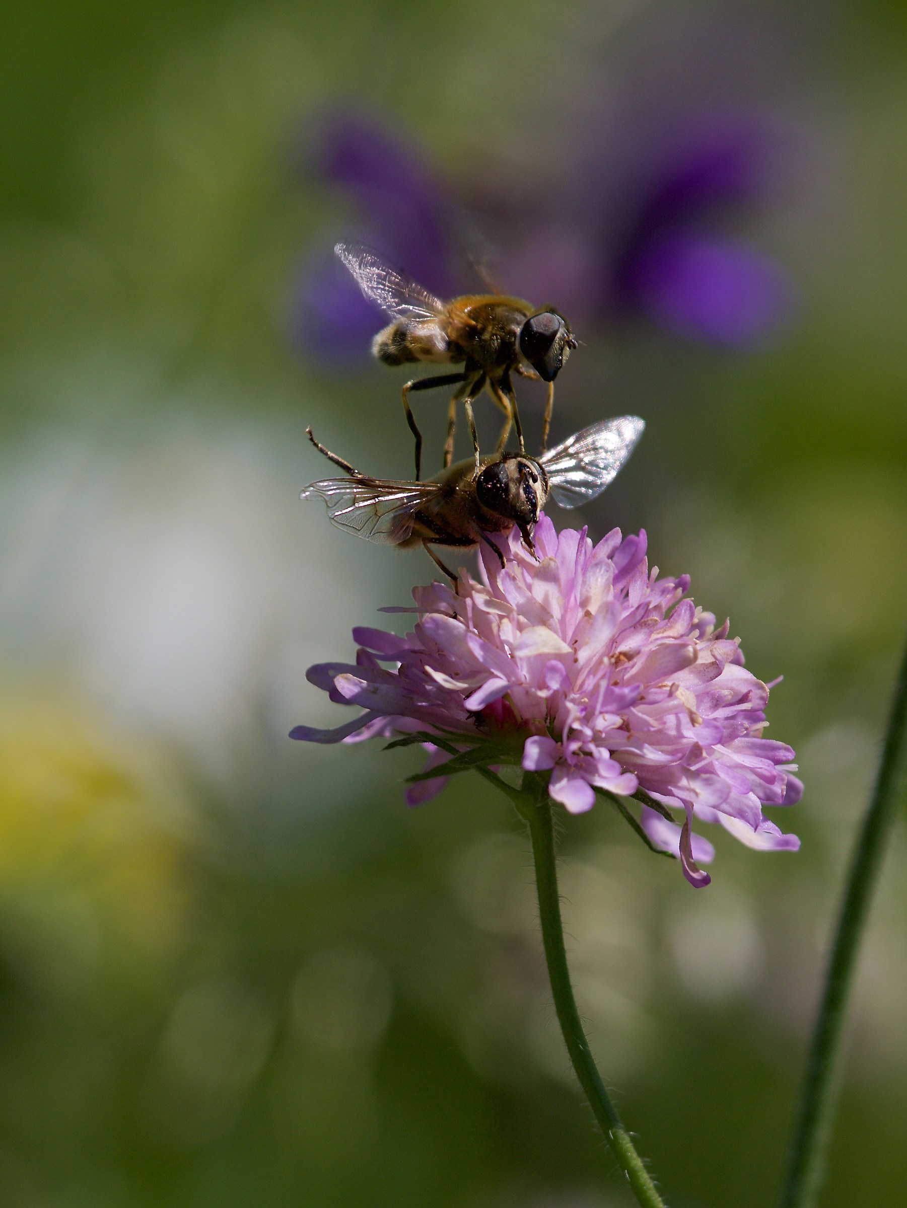 Questo posto è mio!!!!