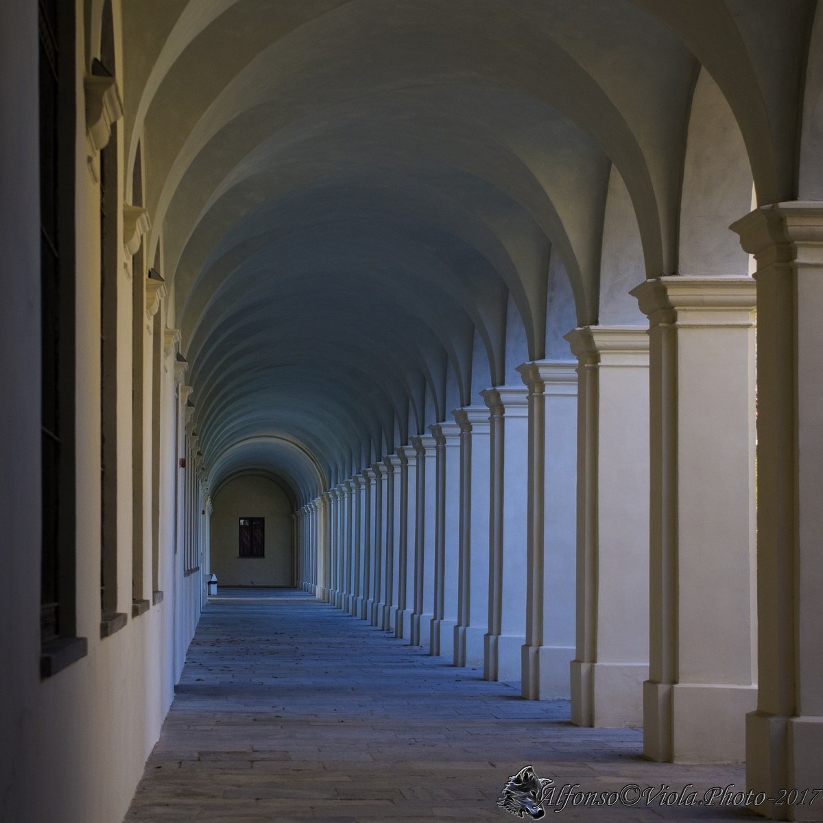 Archi della certosa Collegno