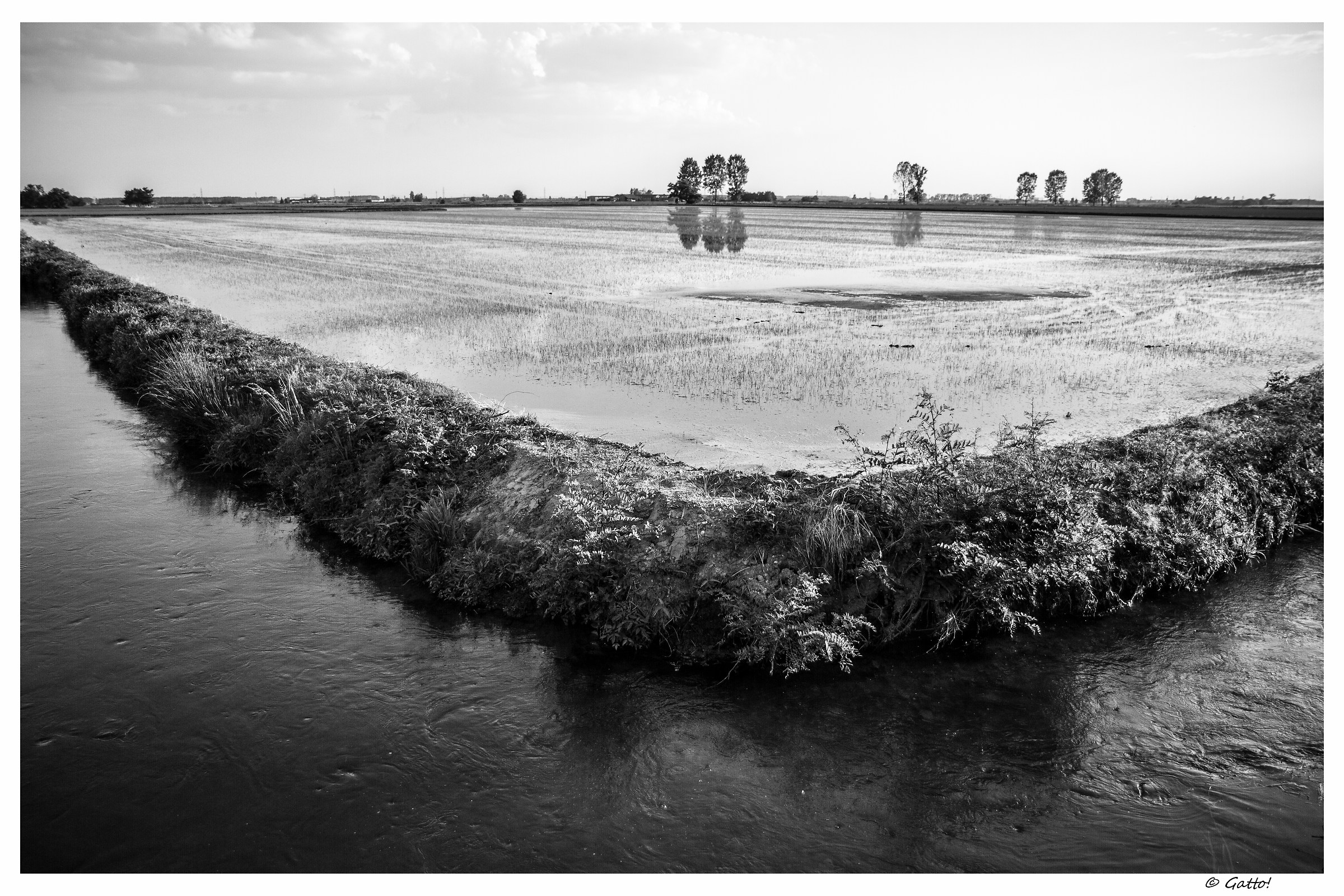 terre del riso -Mosezzo-