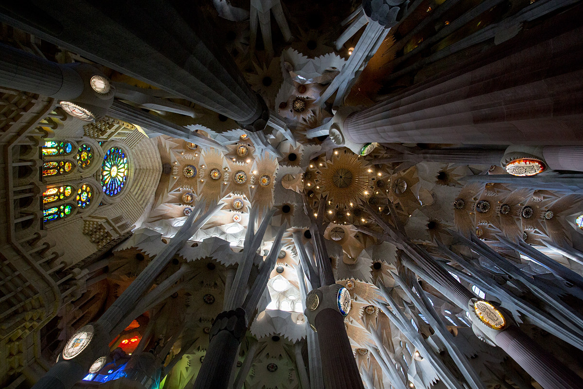 With the nose up (Sagrada Familia Barcelona 2016)
