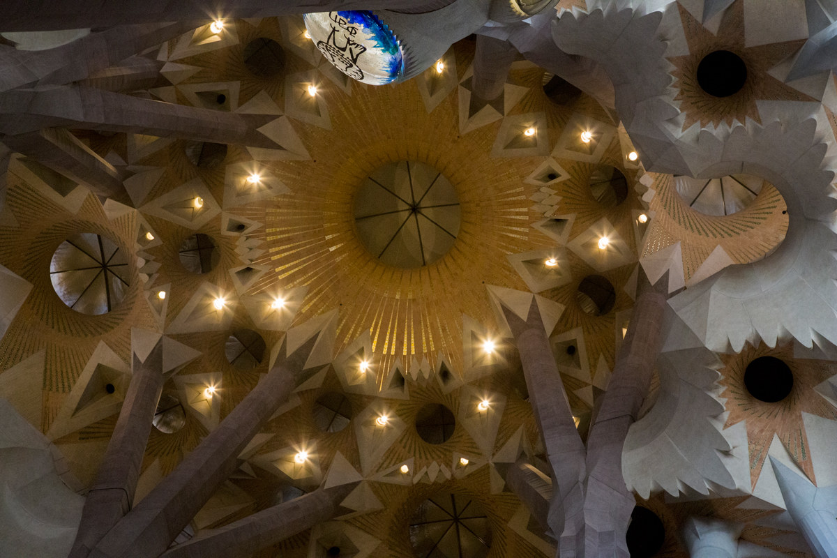 With the nose up (Sagrada Familia Barcelona 2016)