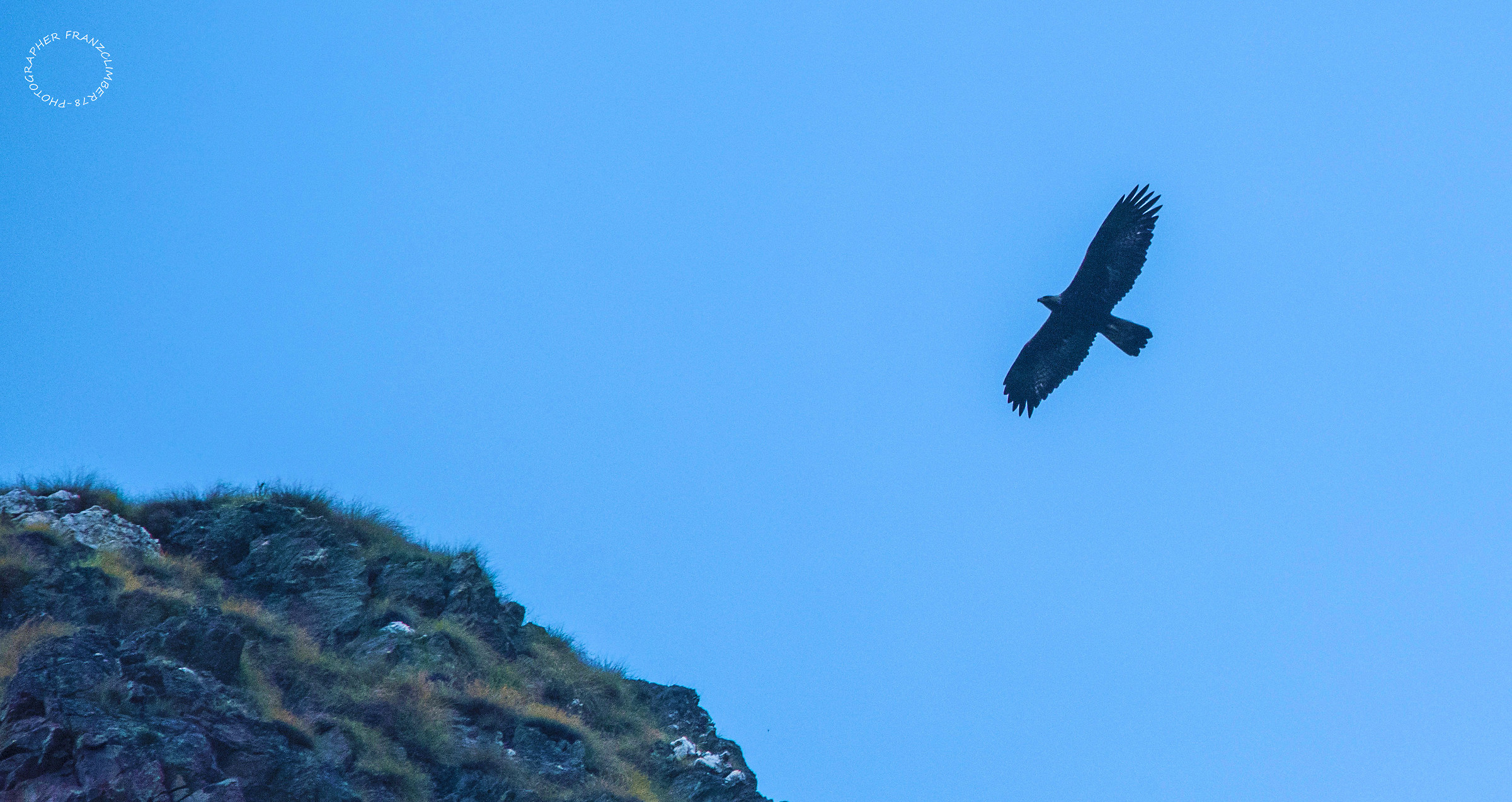 ore 19:30 la regina esce a caccia.