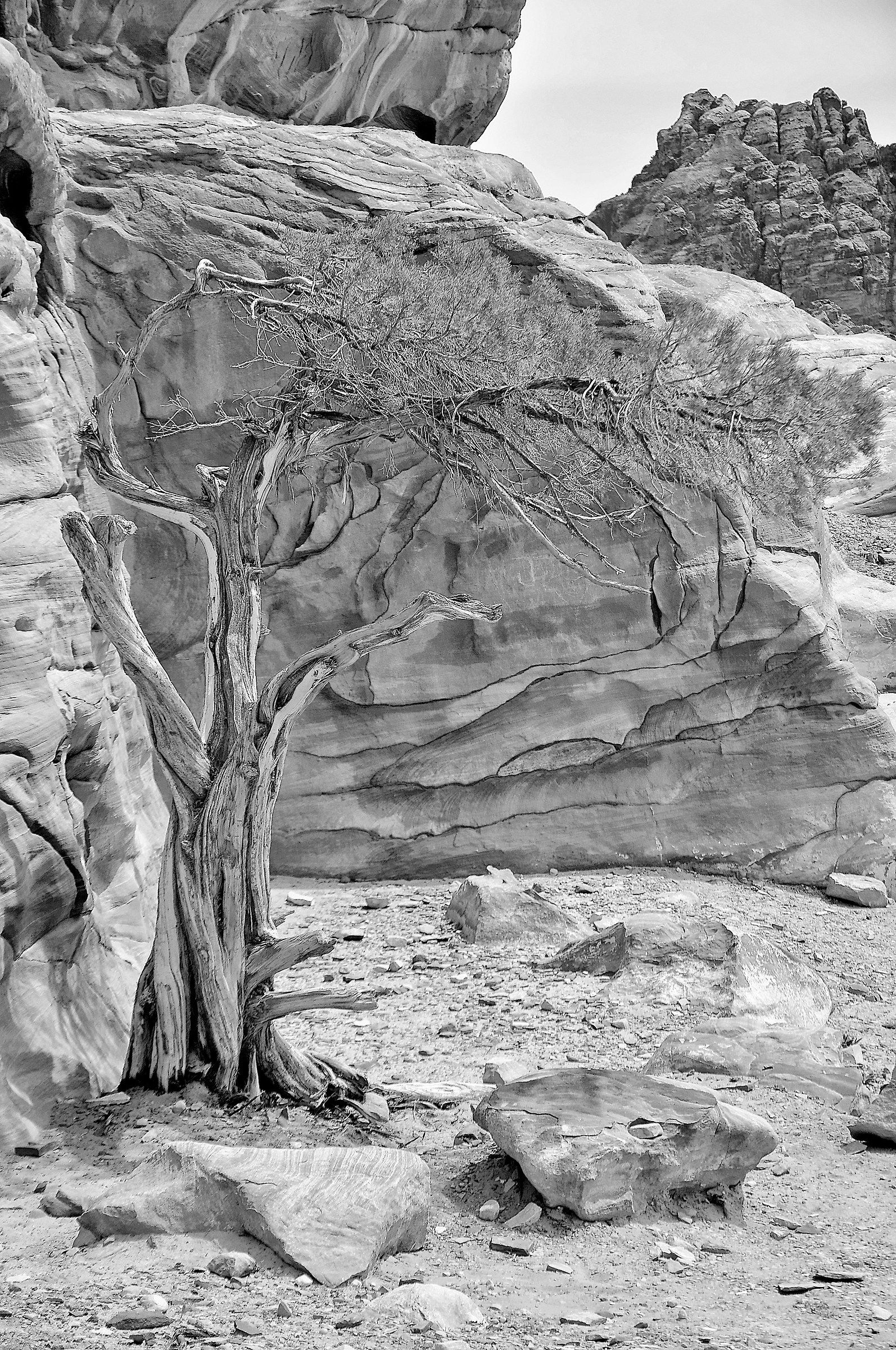 The strength of nature