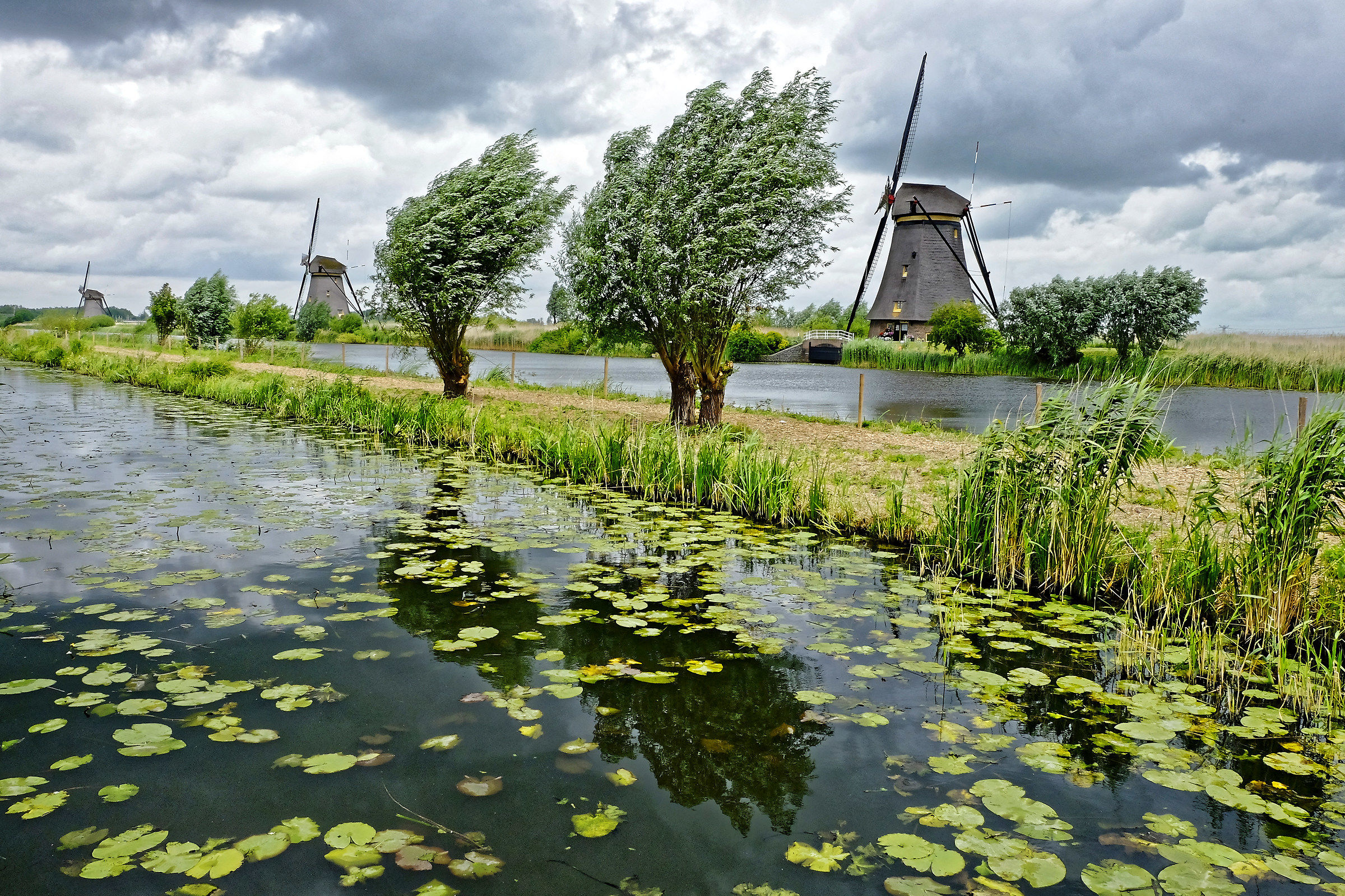 Kinderdijk windmills