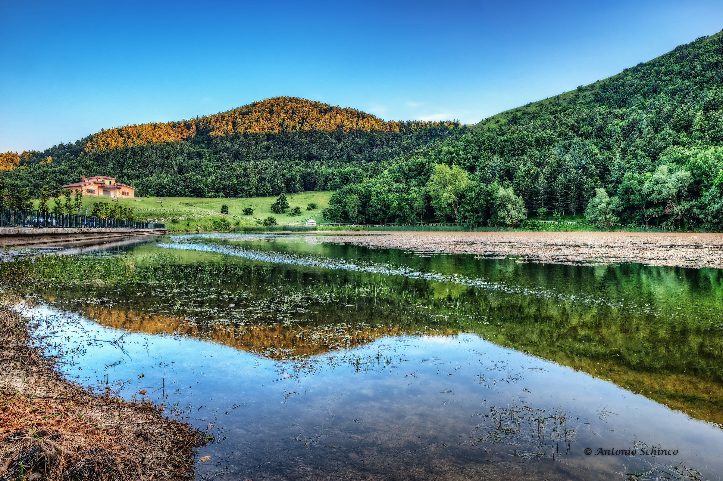 Reflection On The Lake