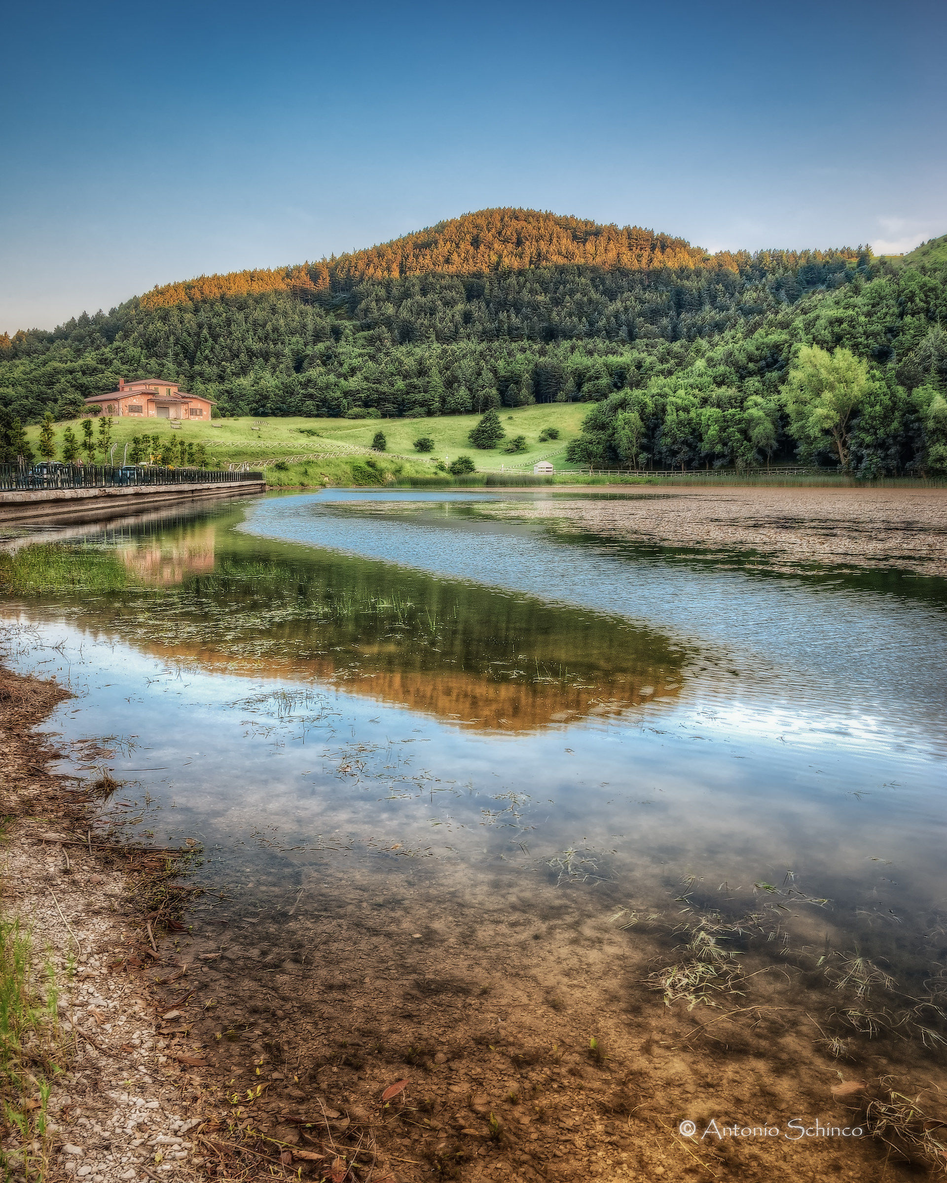 Reflection On The Lake (Vertical version)