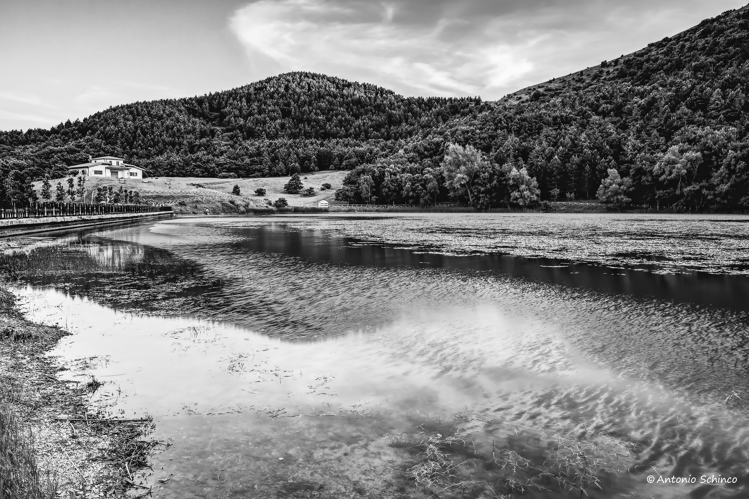 Monochrome Reflections