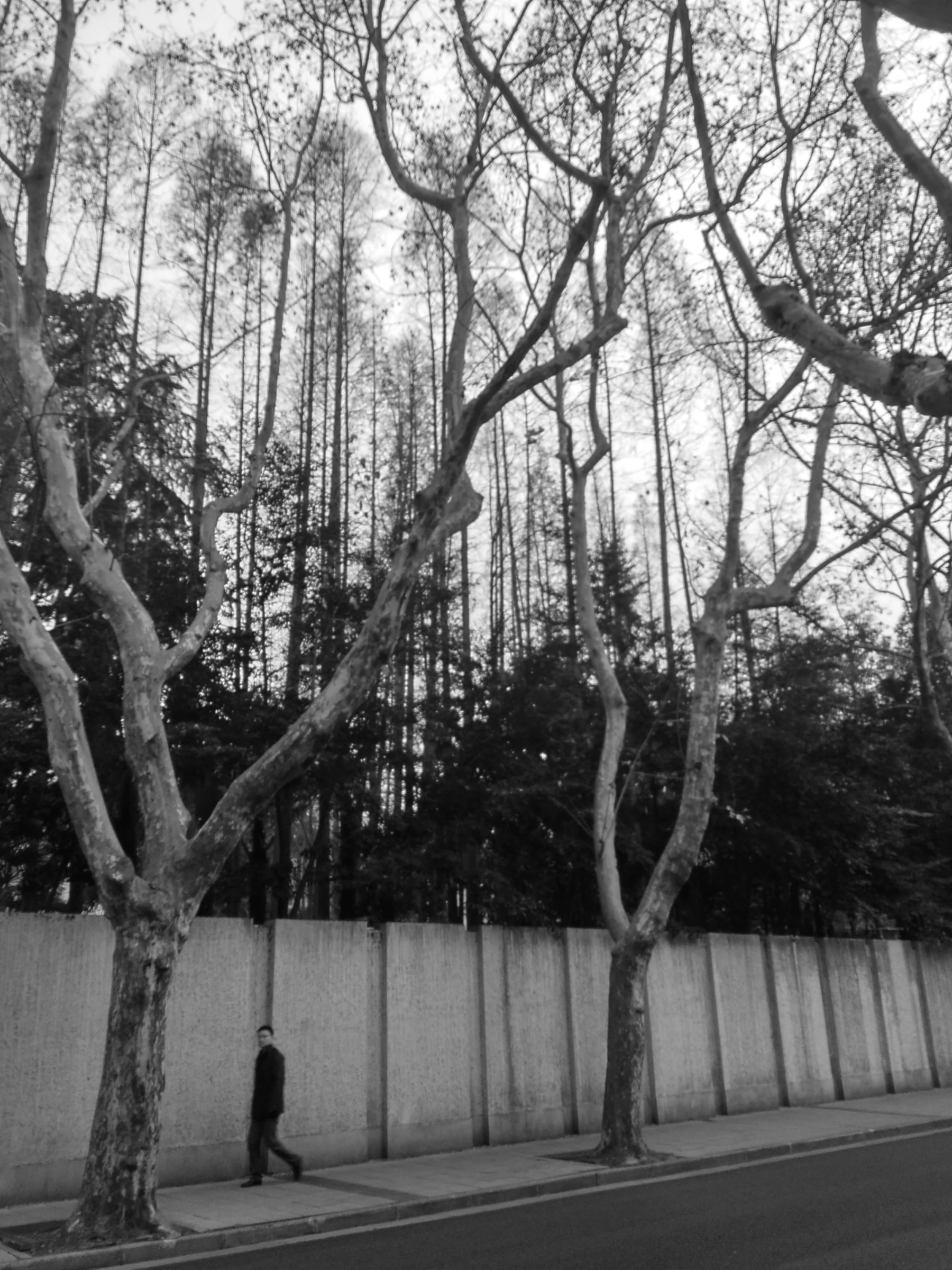 Distretto di Luwan. Shanghai.