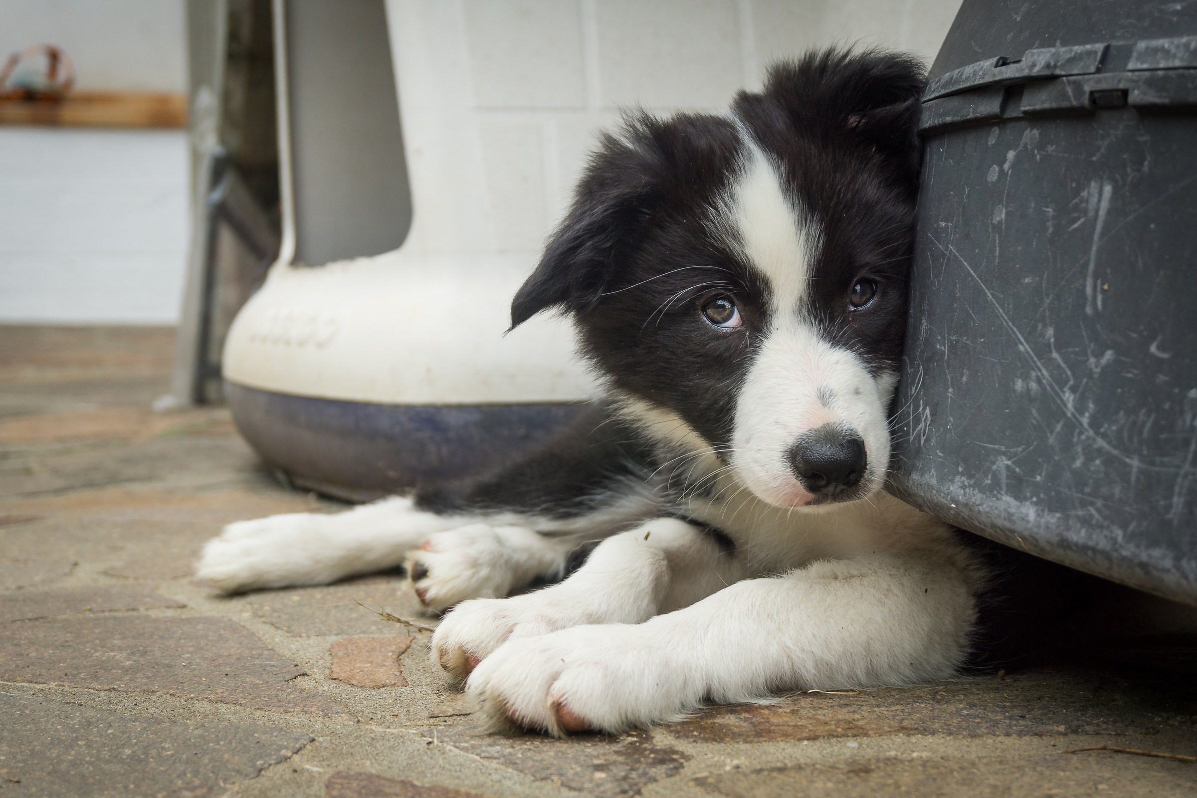 "Non sono proprio convinta eh.."