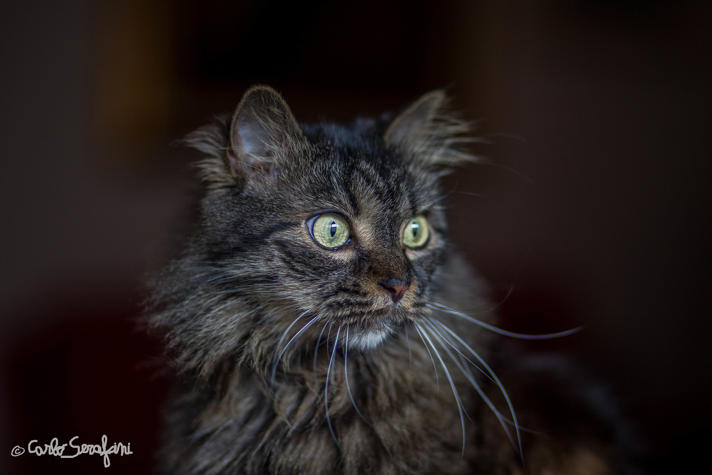 Nina with the 85 f 1.8