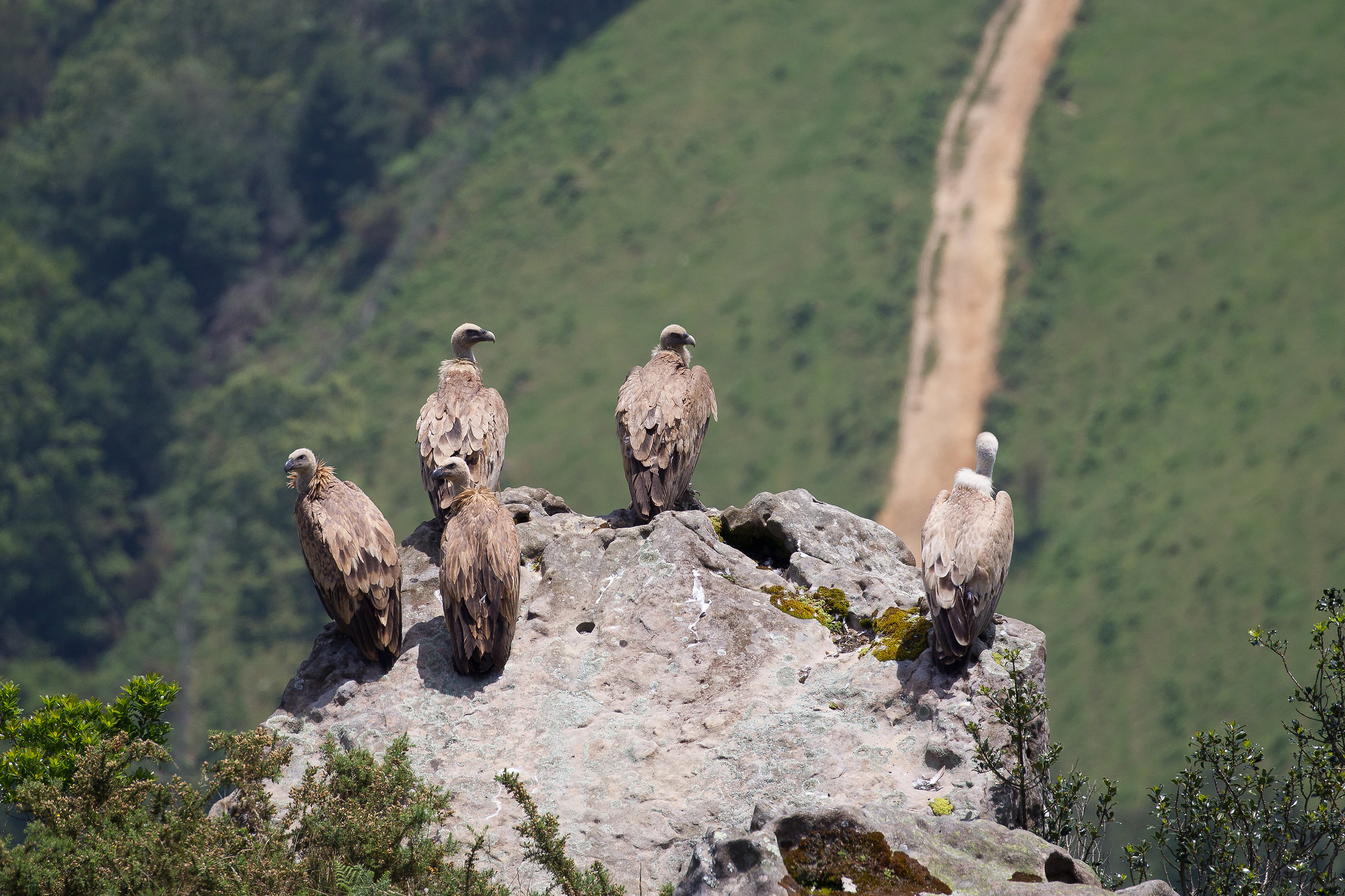 ... this time, they were the ones below!