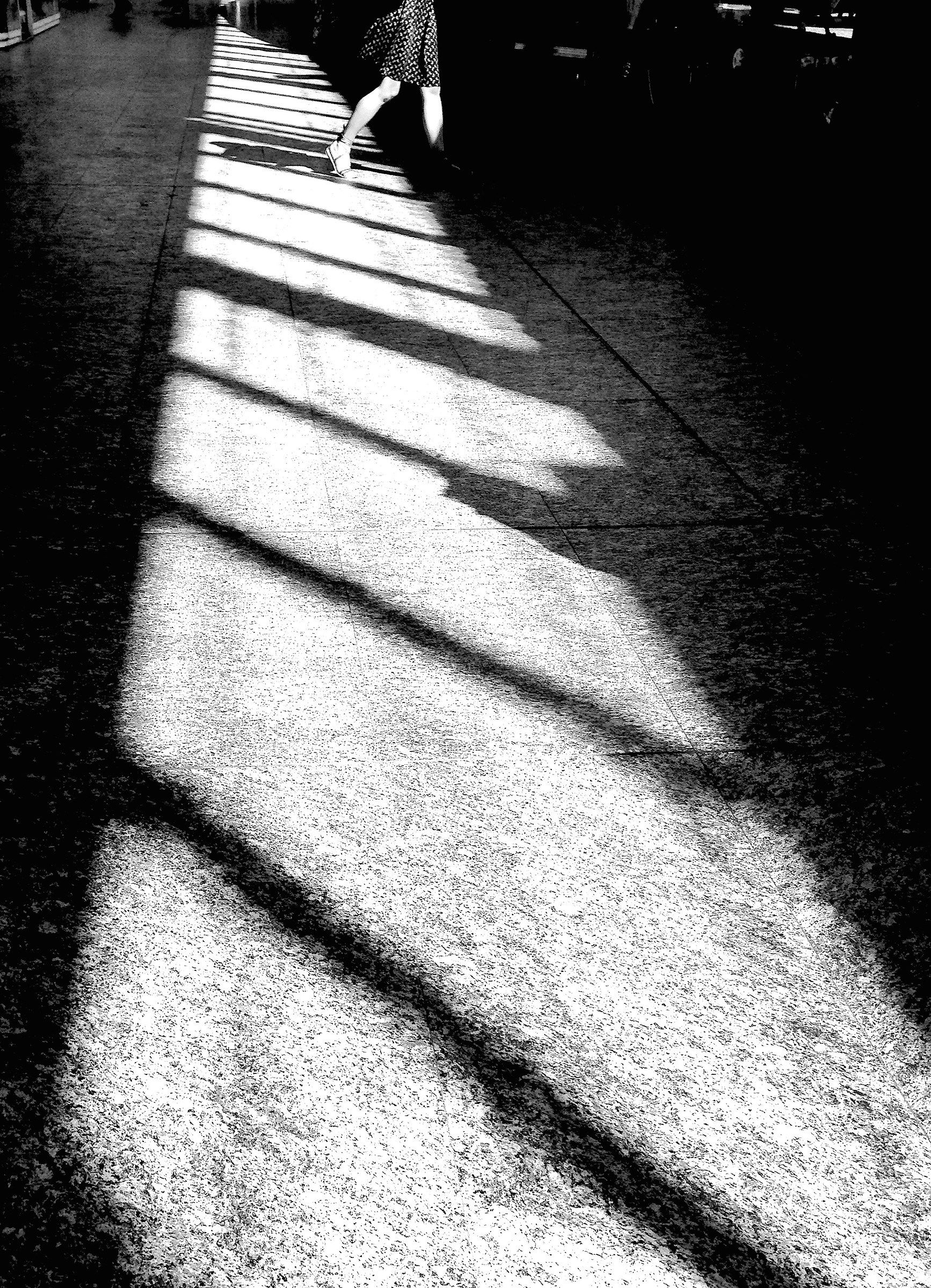 Sunshine at Porta Nuova