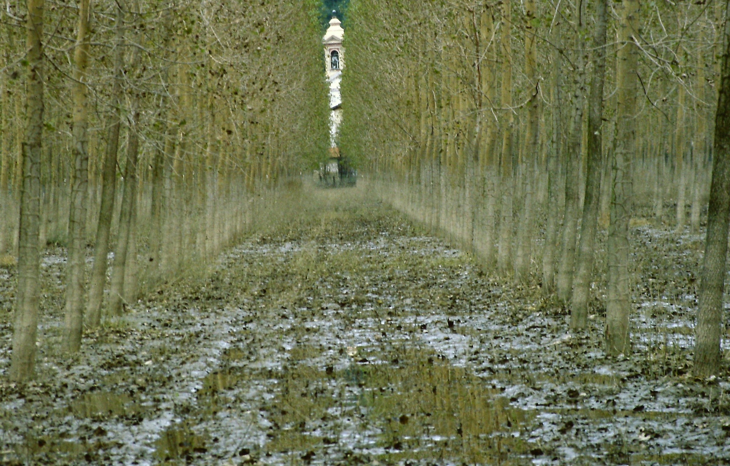 21 - la via della fede - VB Fondotoce il pioppeto