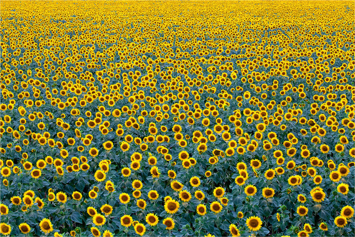 No Toscana, ma Padana superiore