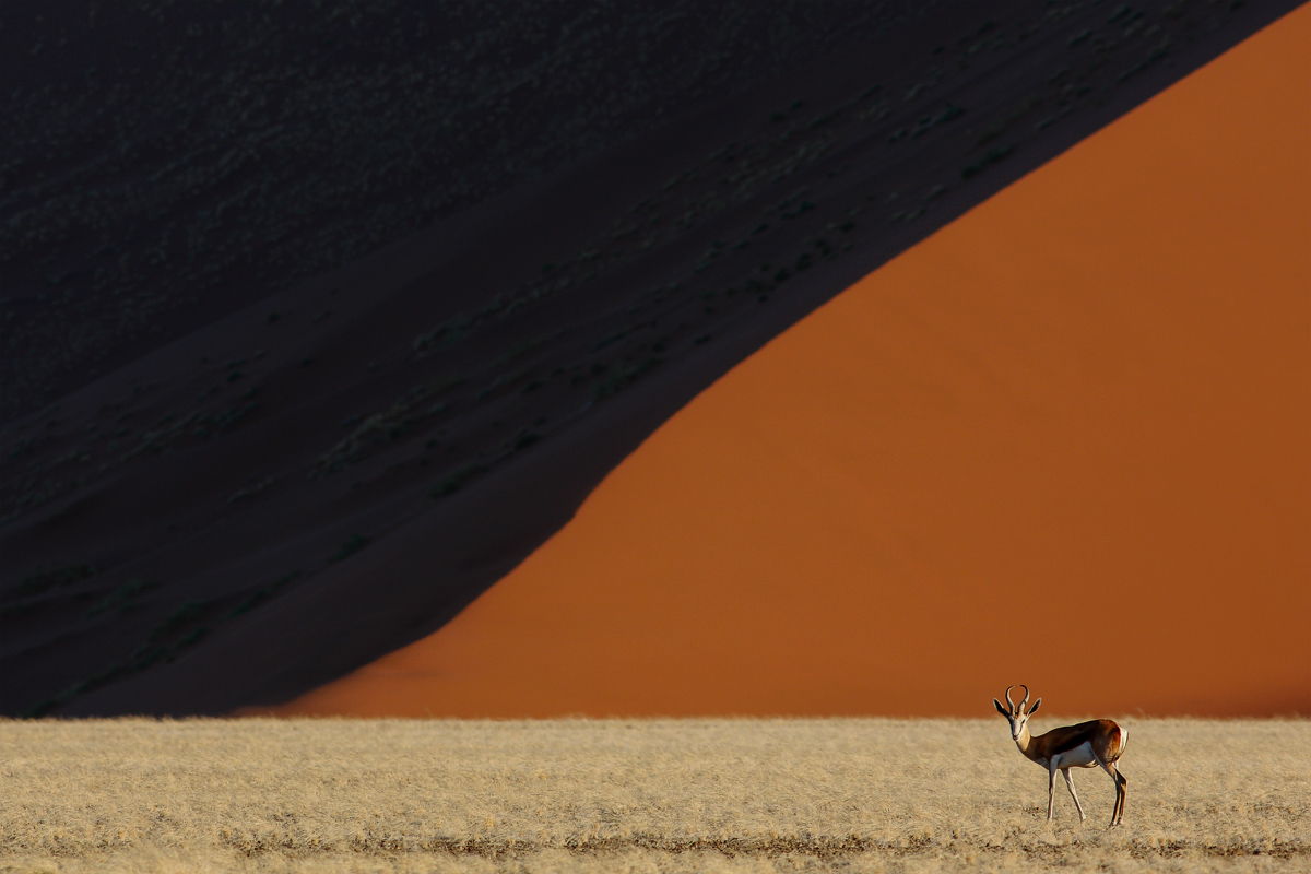 Geometria nambiana 2