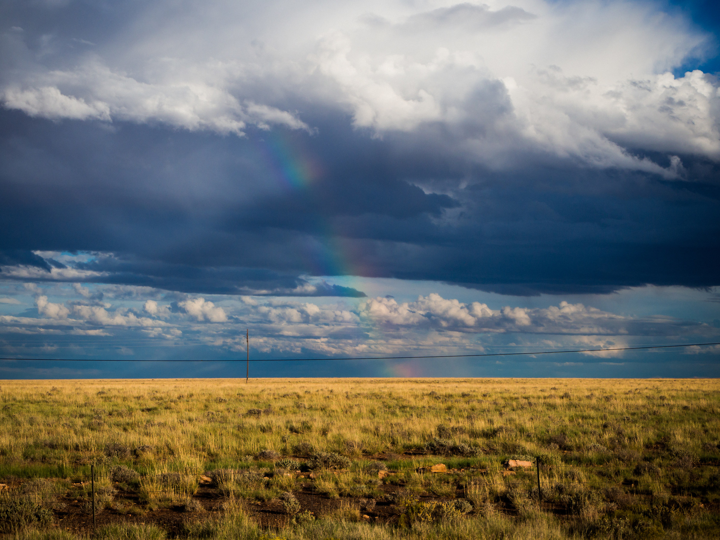 Rainbow in the meadow