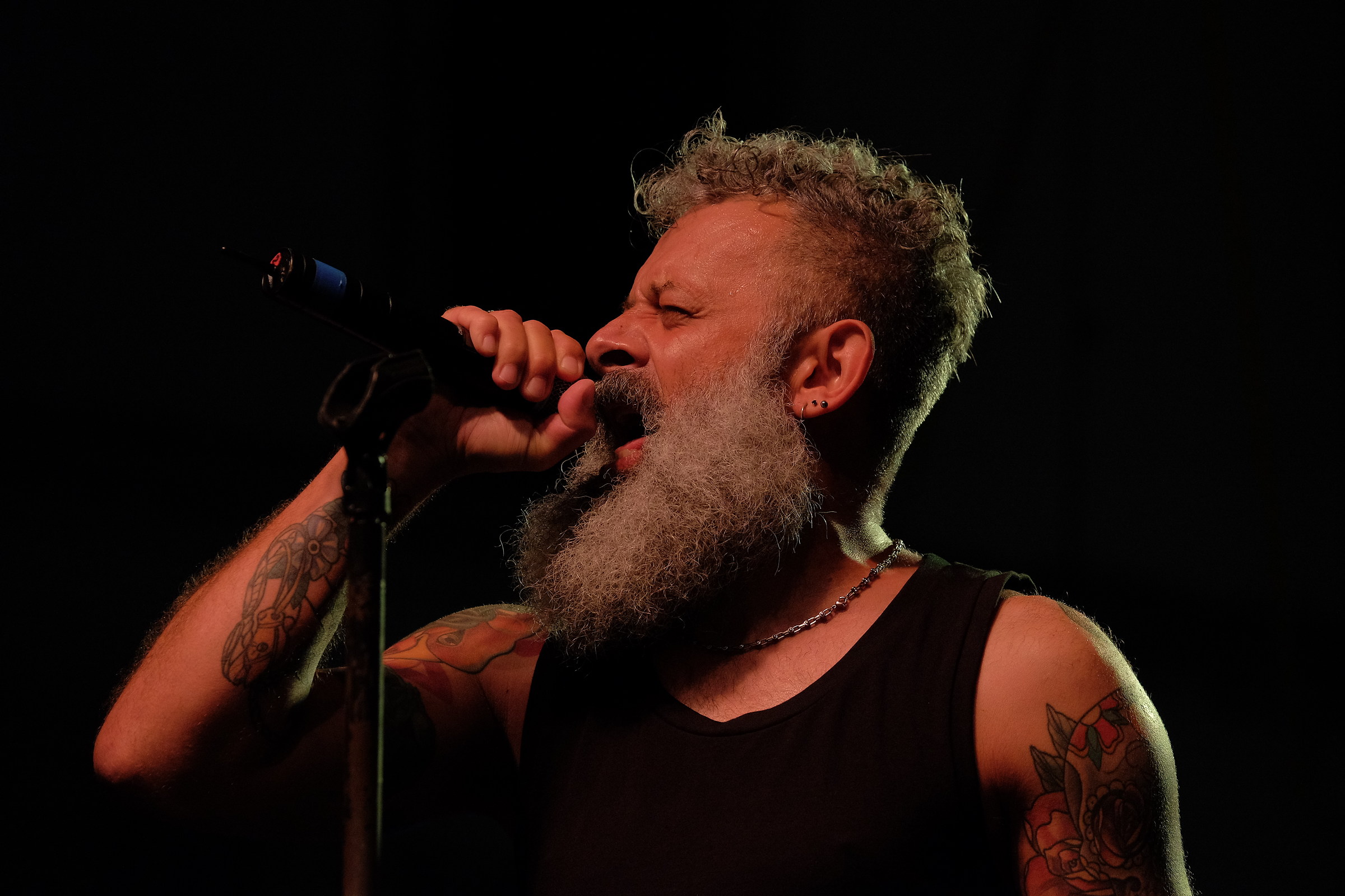 Modena city Ramblers