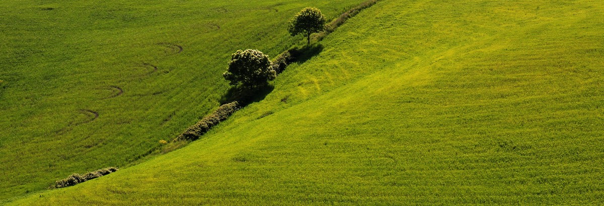 Qualche mese dopo...