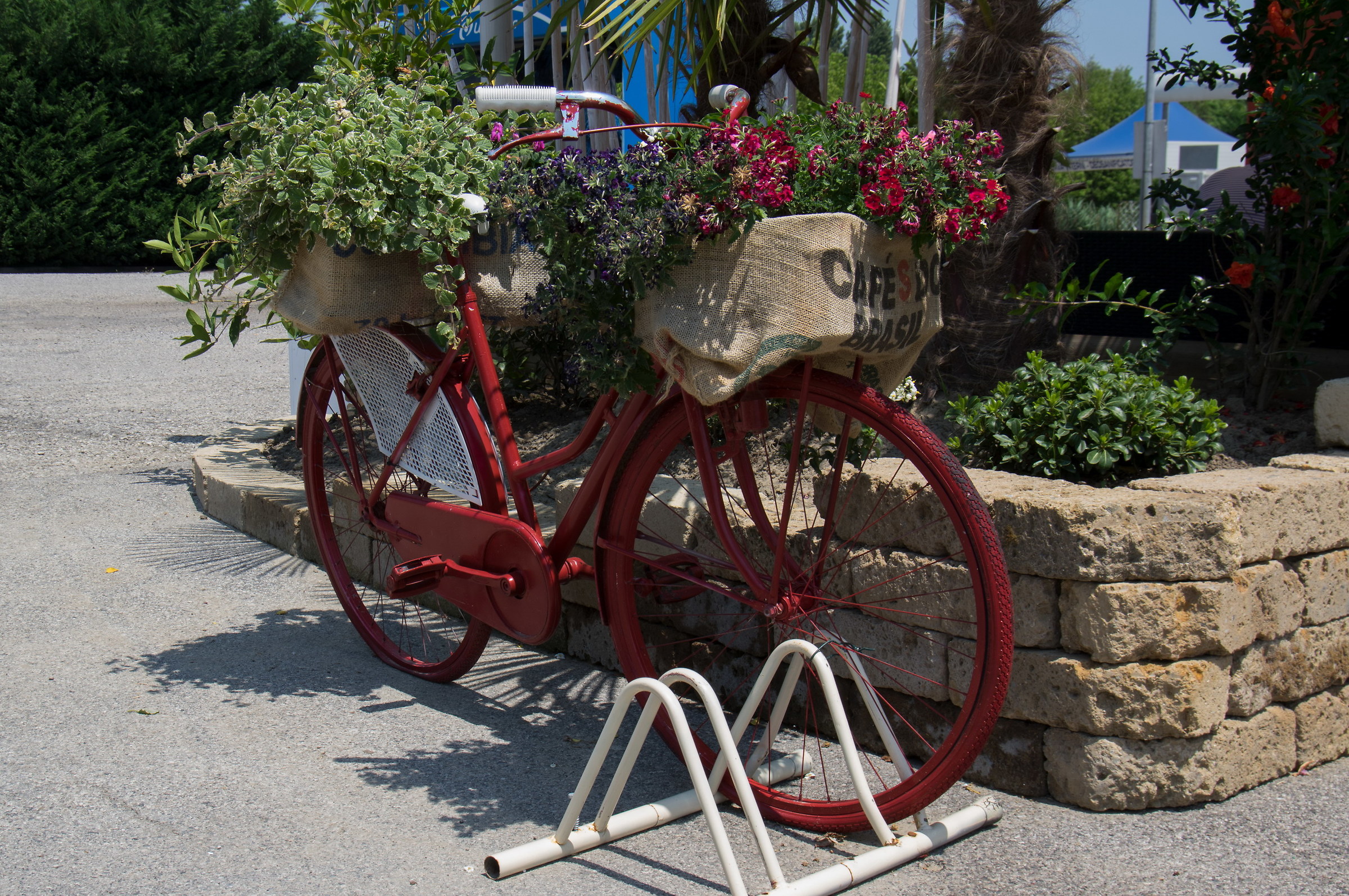 The Bikes of the Bar
