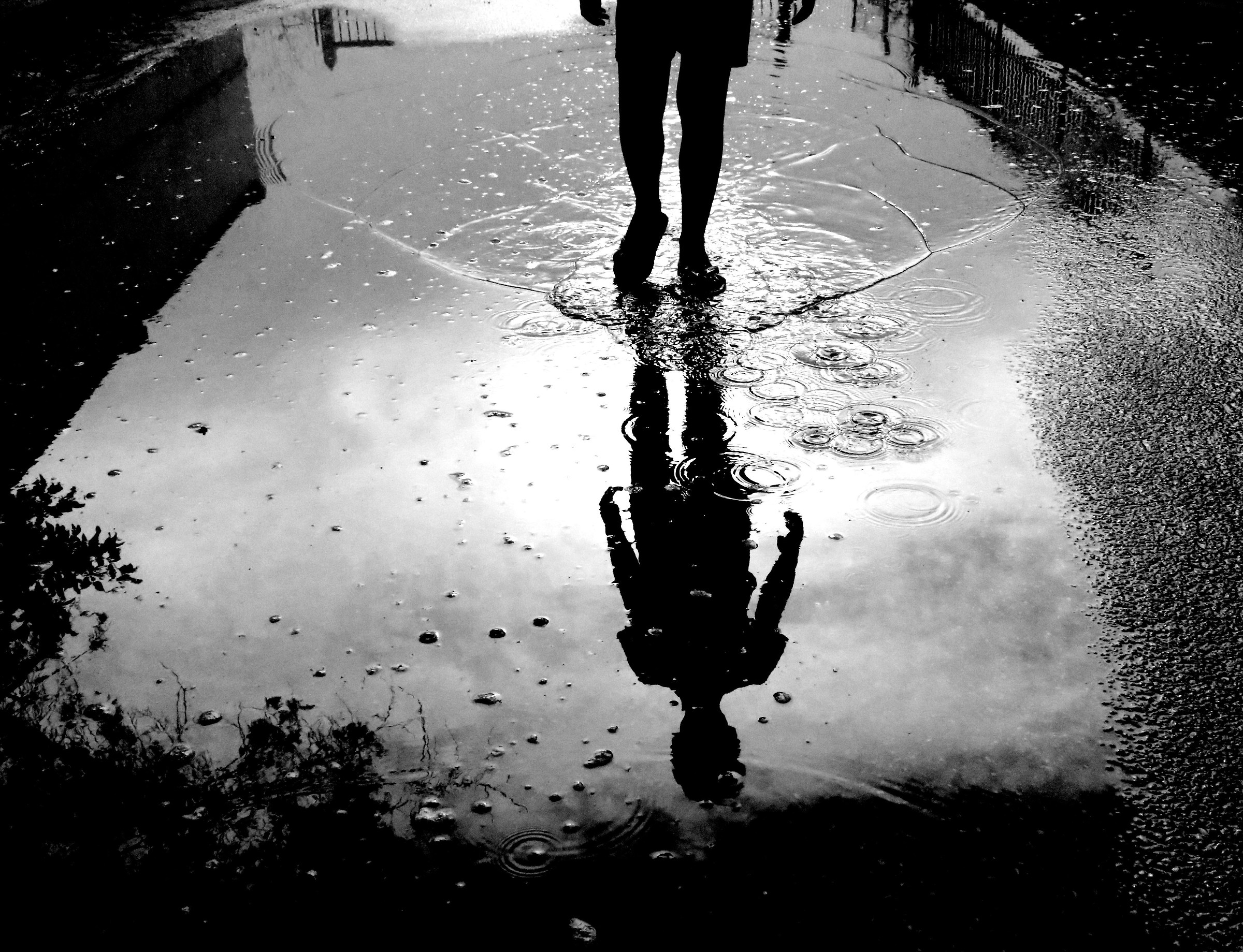 Shadow in the rain