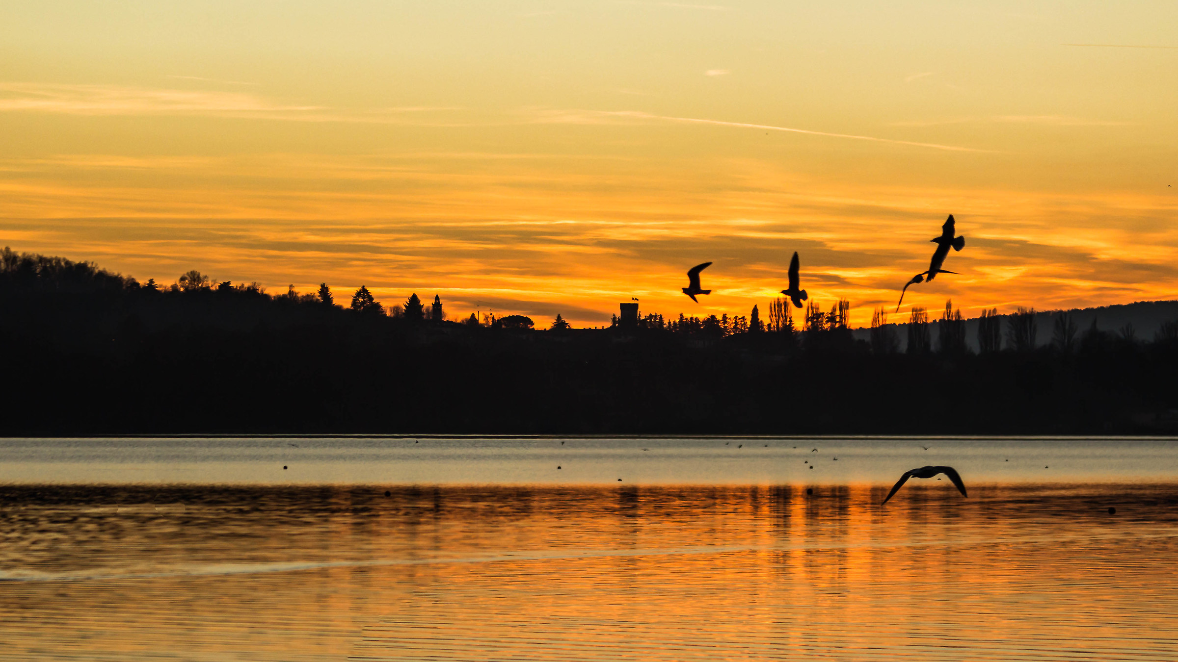 Ali who want to fly ...