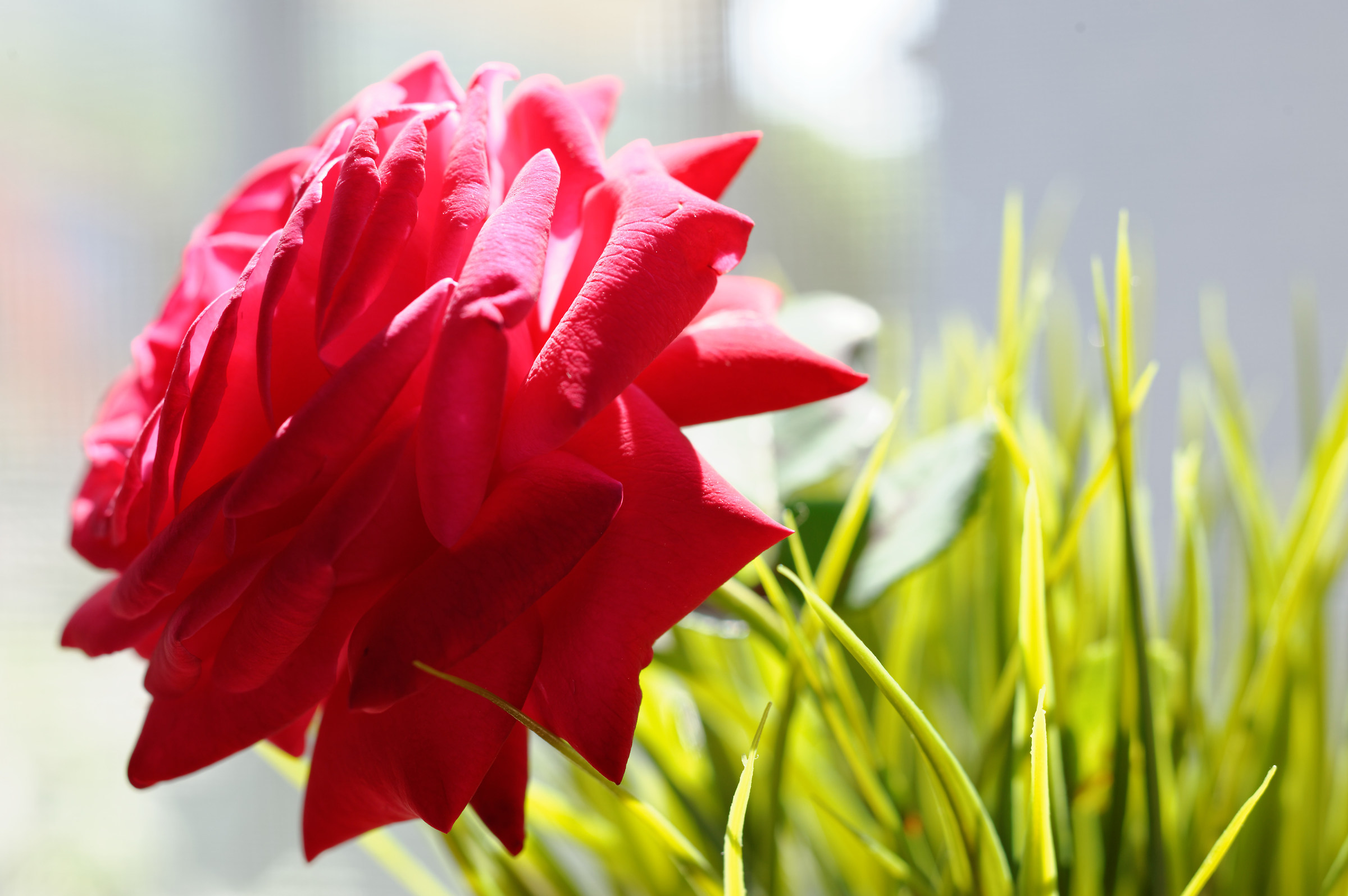 Despite the warmth atrocious ..