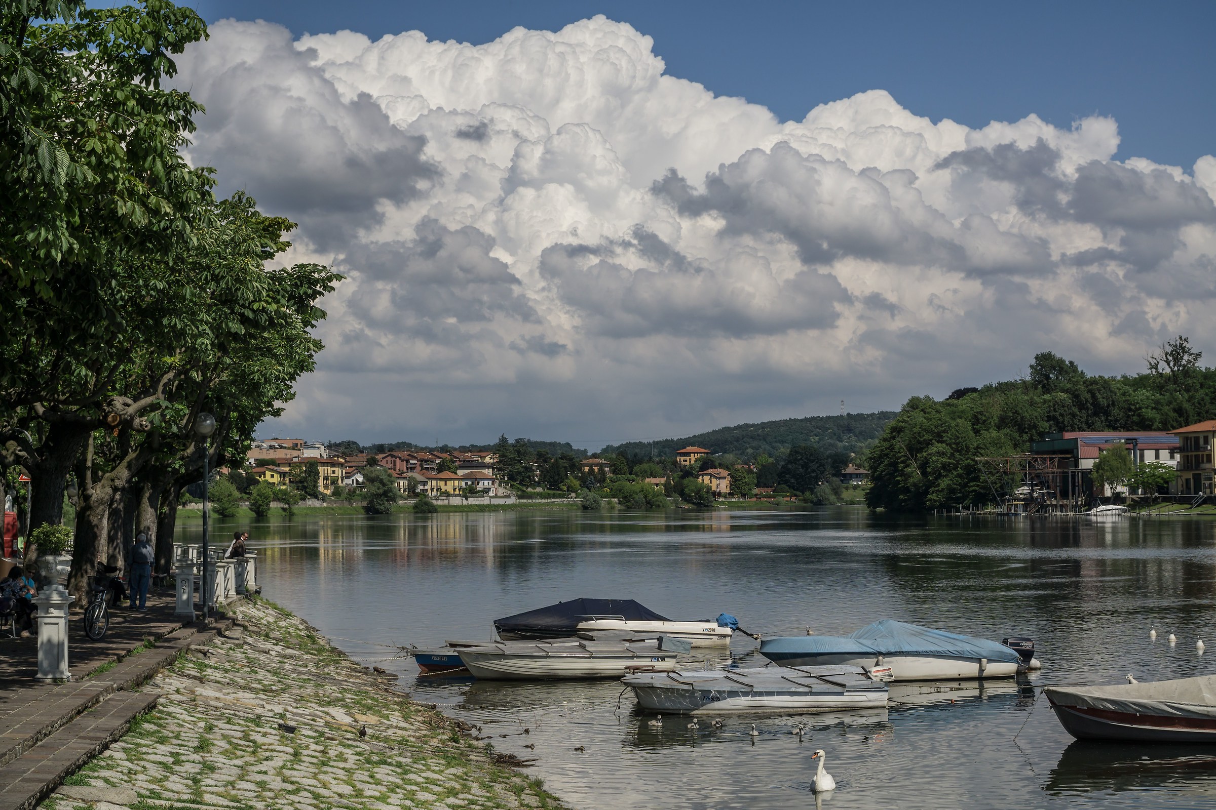 Martedì 6 giugno 2017, 16:04