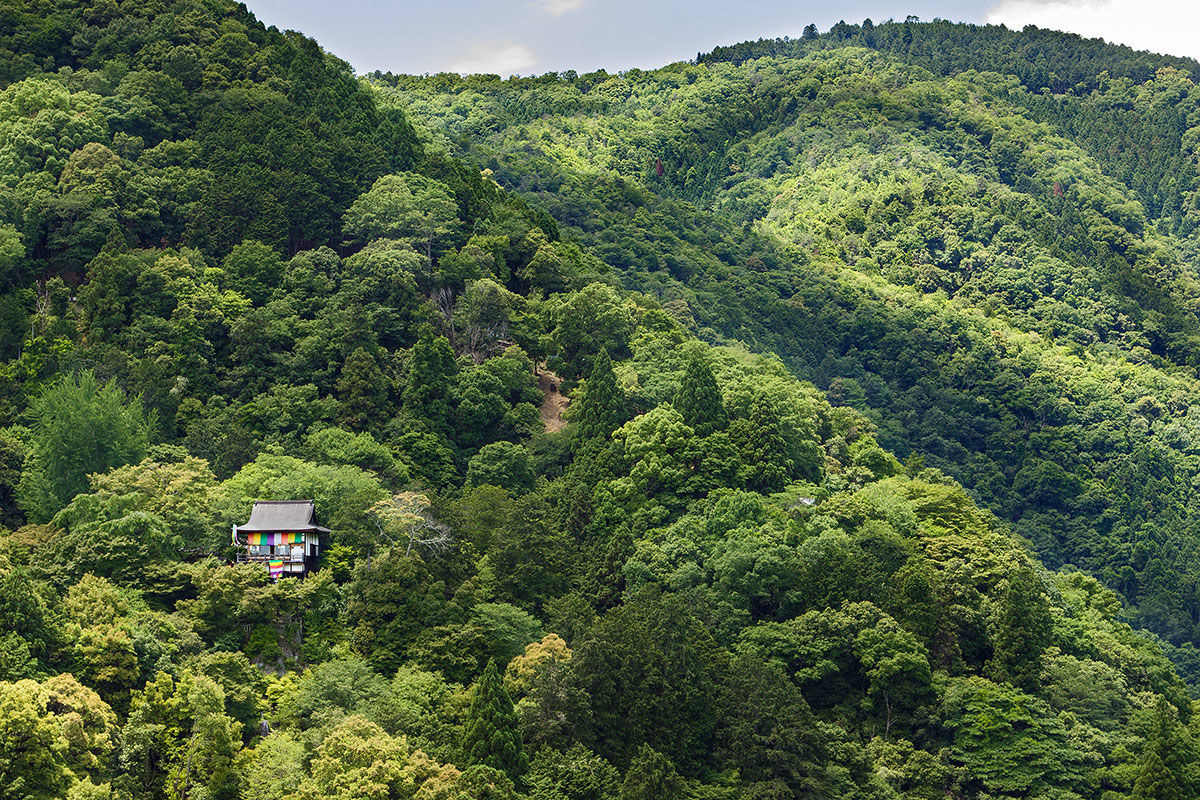 Daihikaku Senko-ji Temple