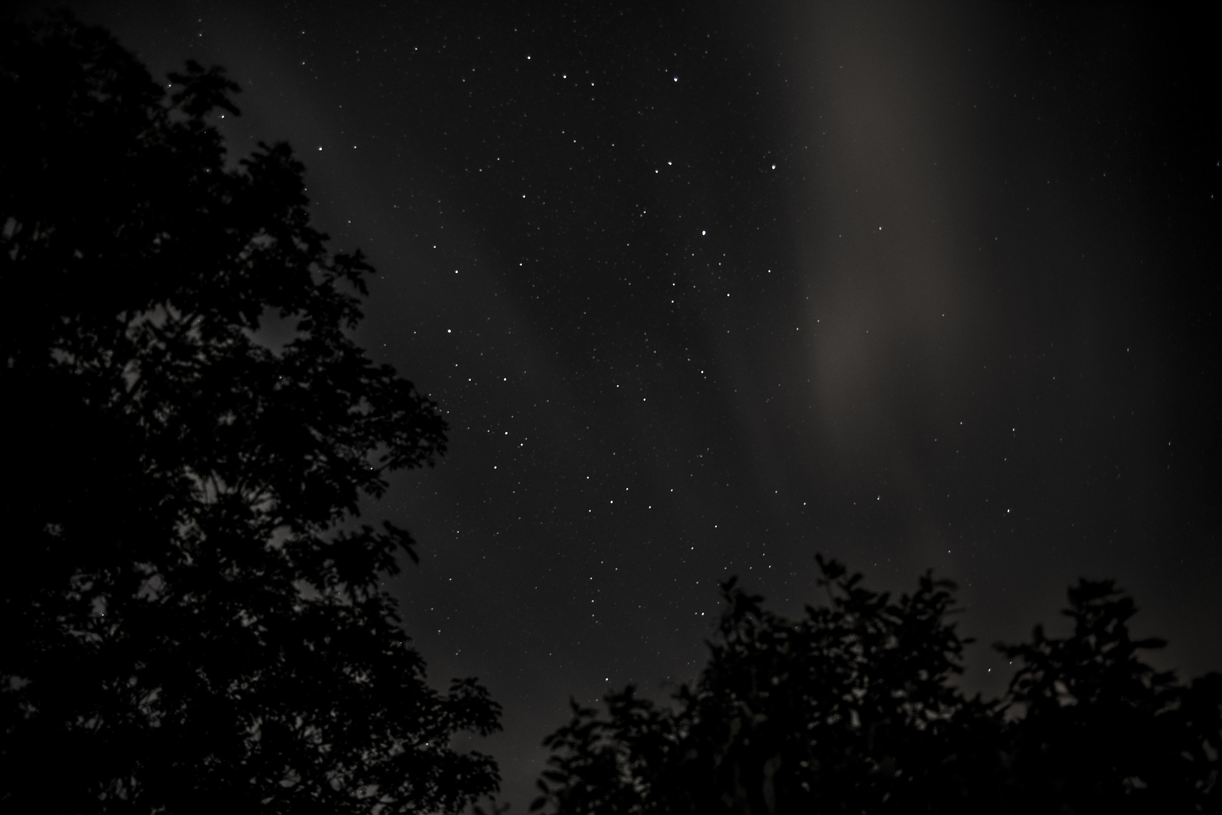 Le mie prime foto alle stelle