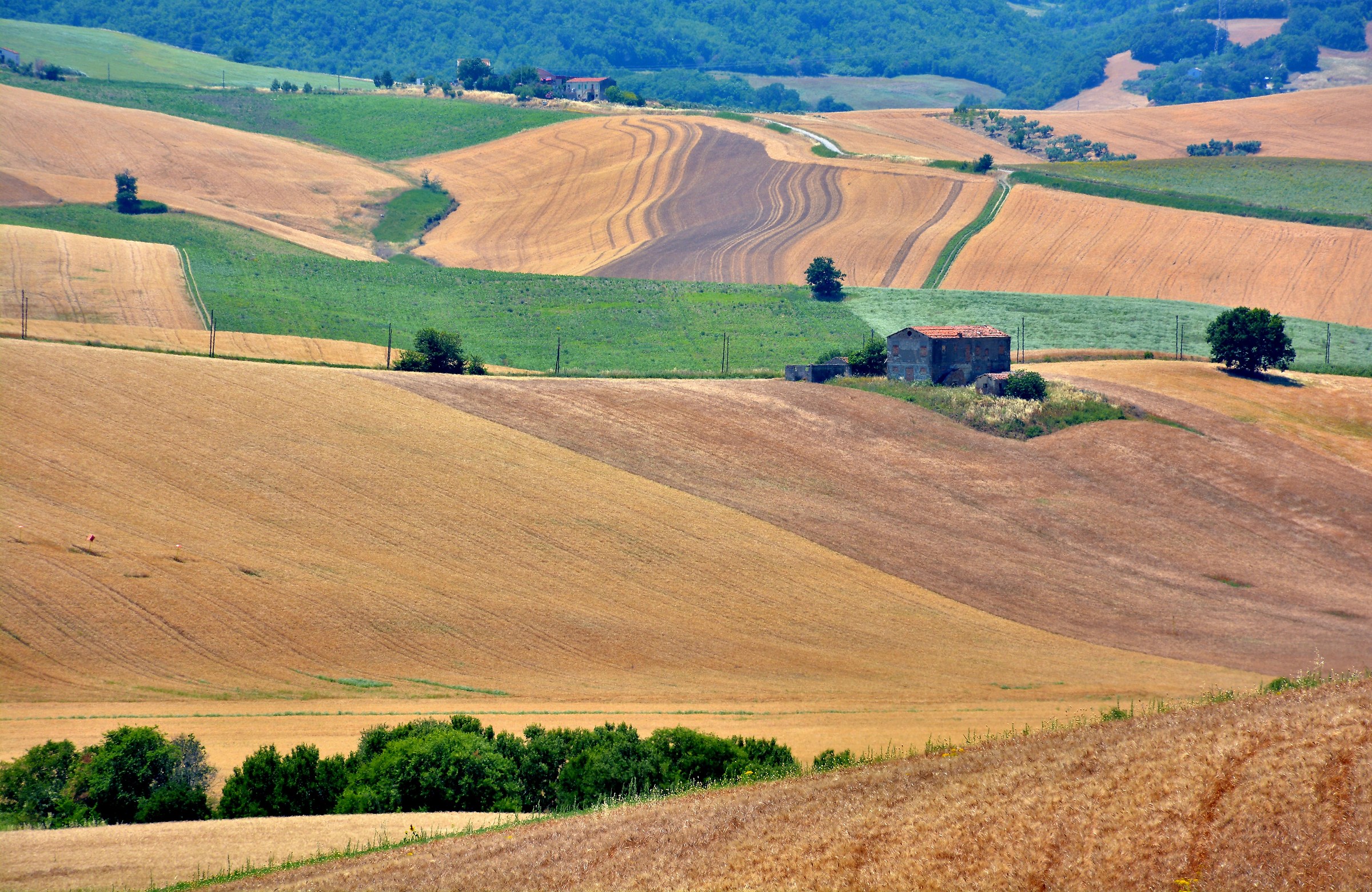 L'Afa di Mezzogiorno