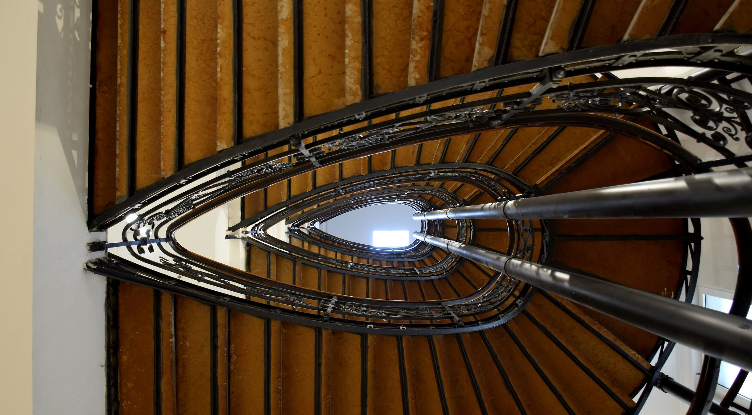 Bologna scale of the 800