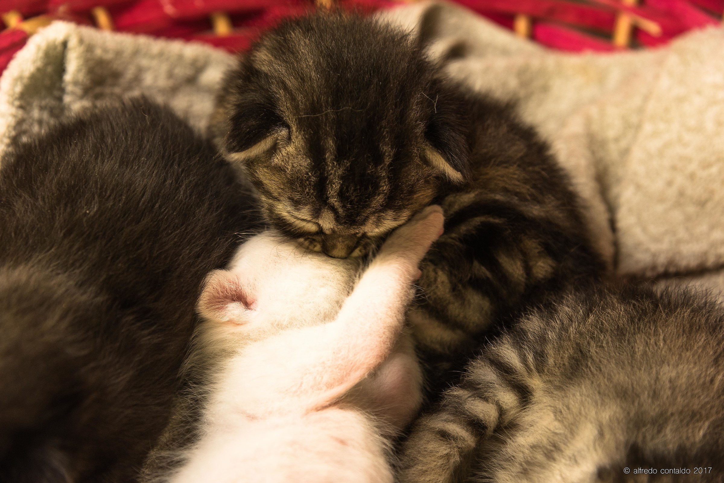 Like in an old movie