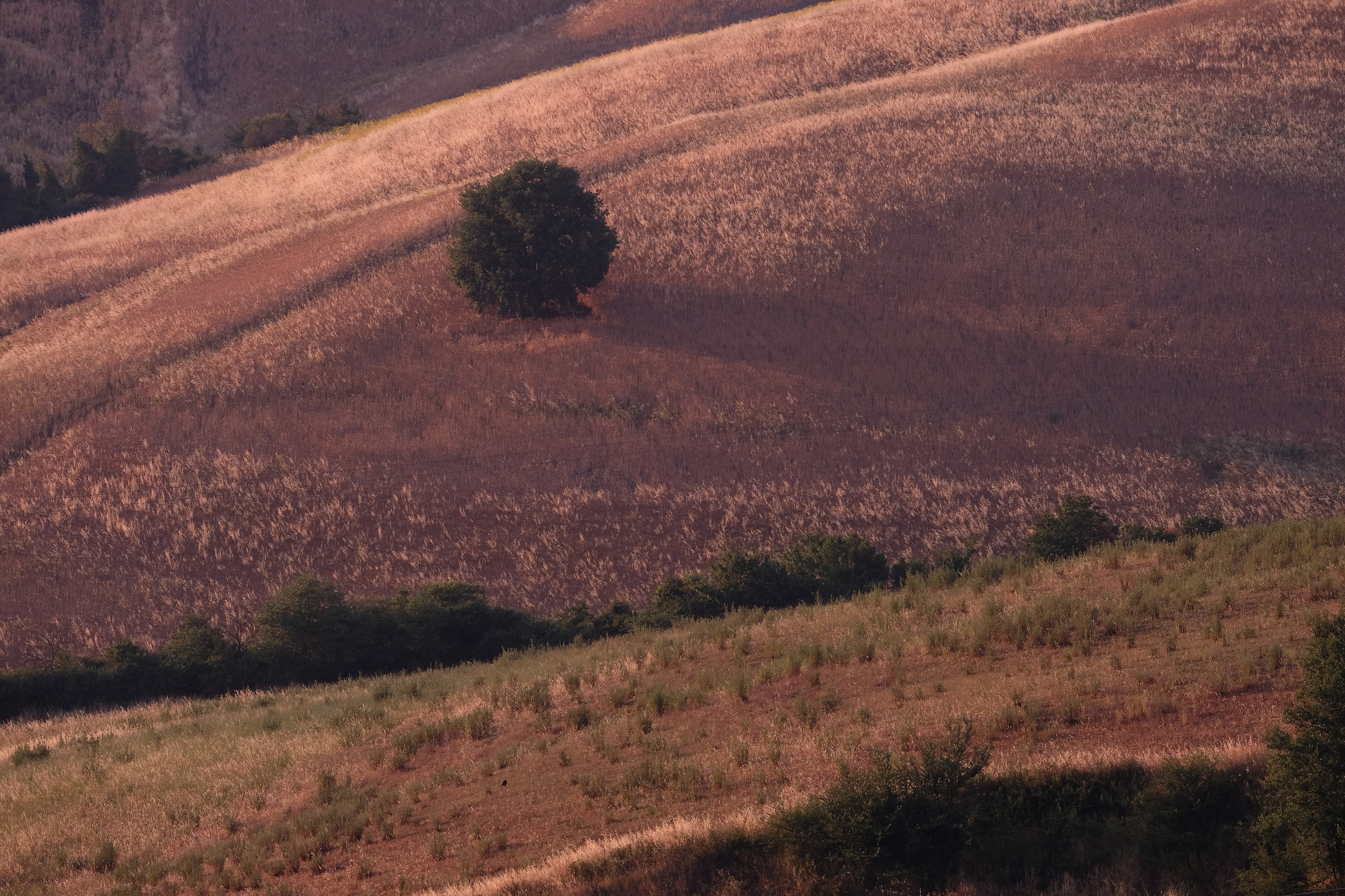Strada Lauretana - Siena