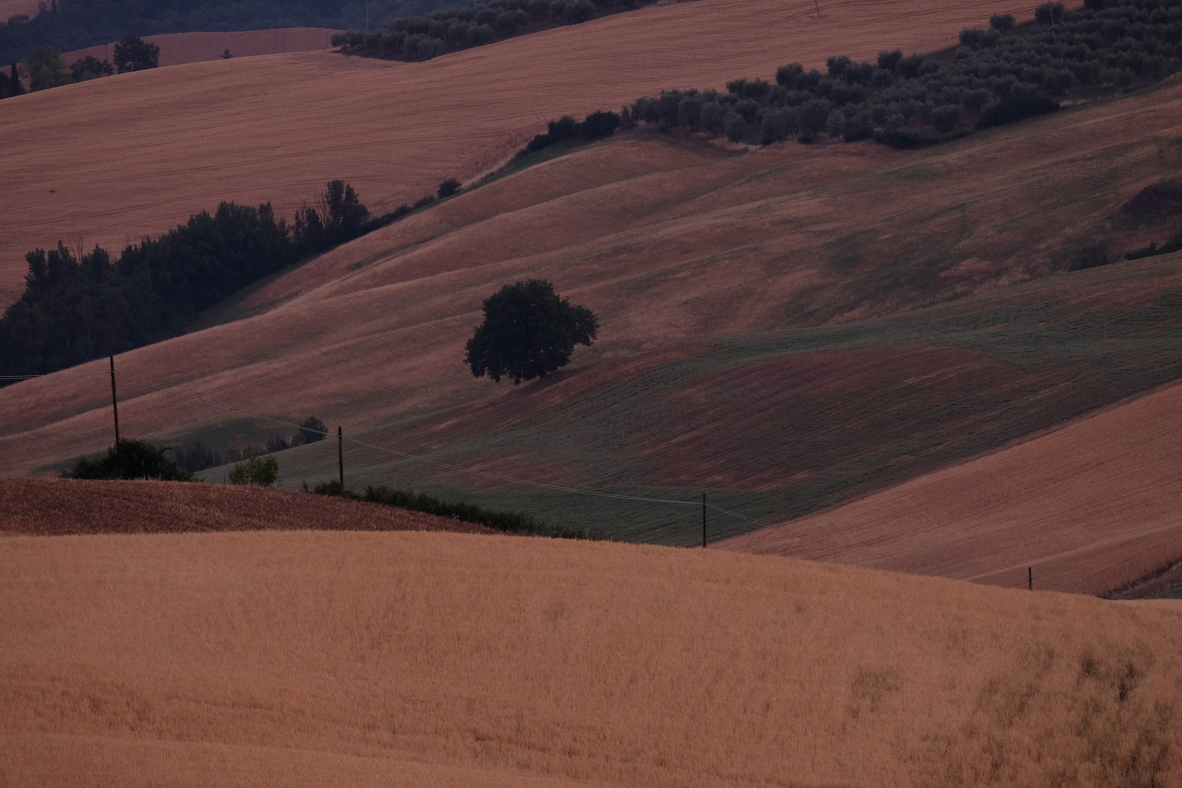 Strada Lauretana - Siena