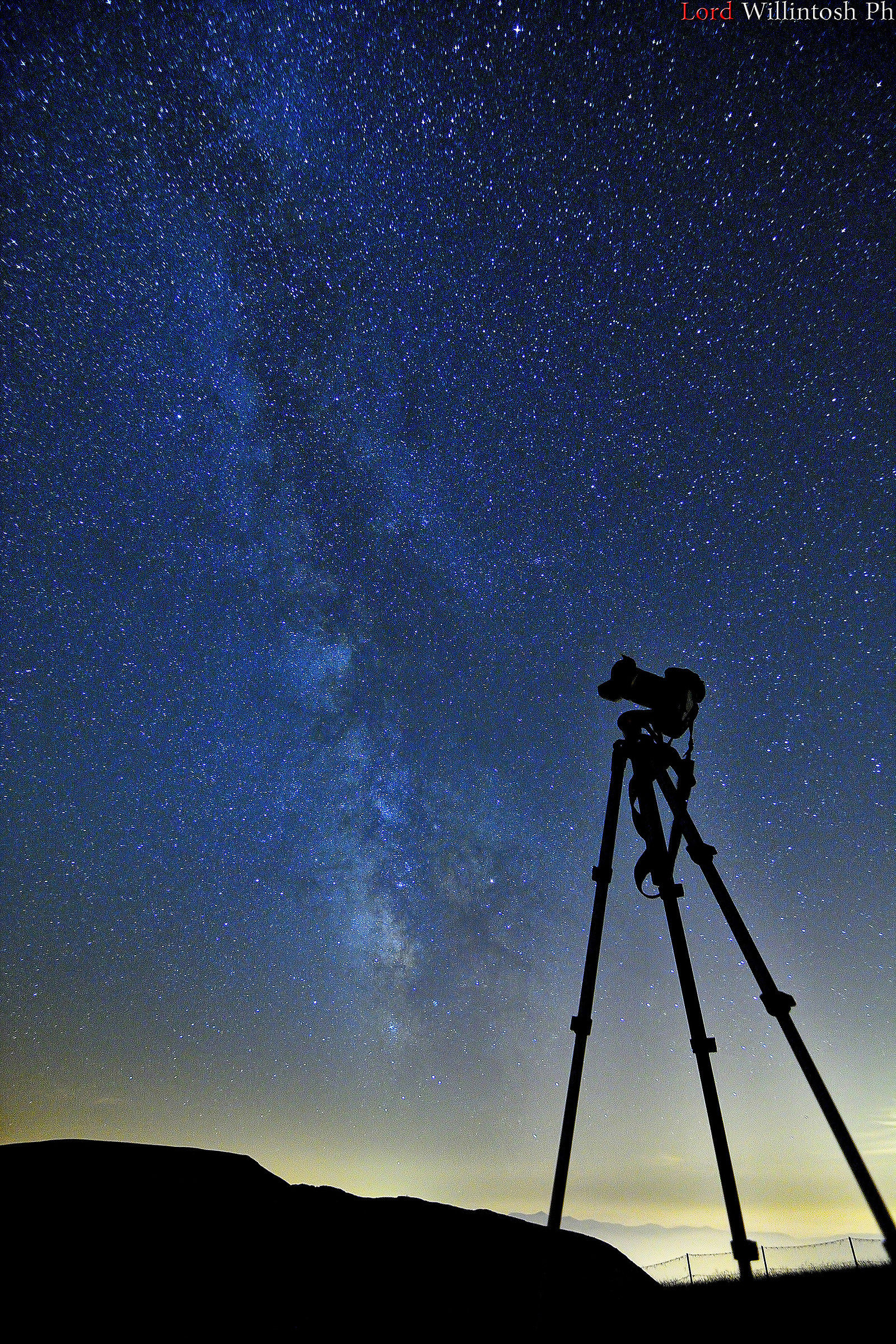 My "horse" of battle!