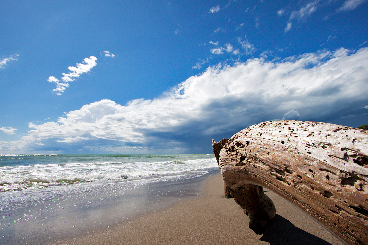 Spiaggia di Alberese