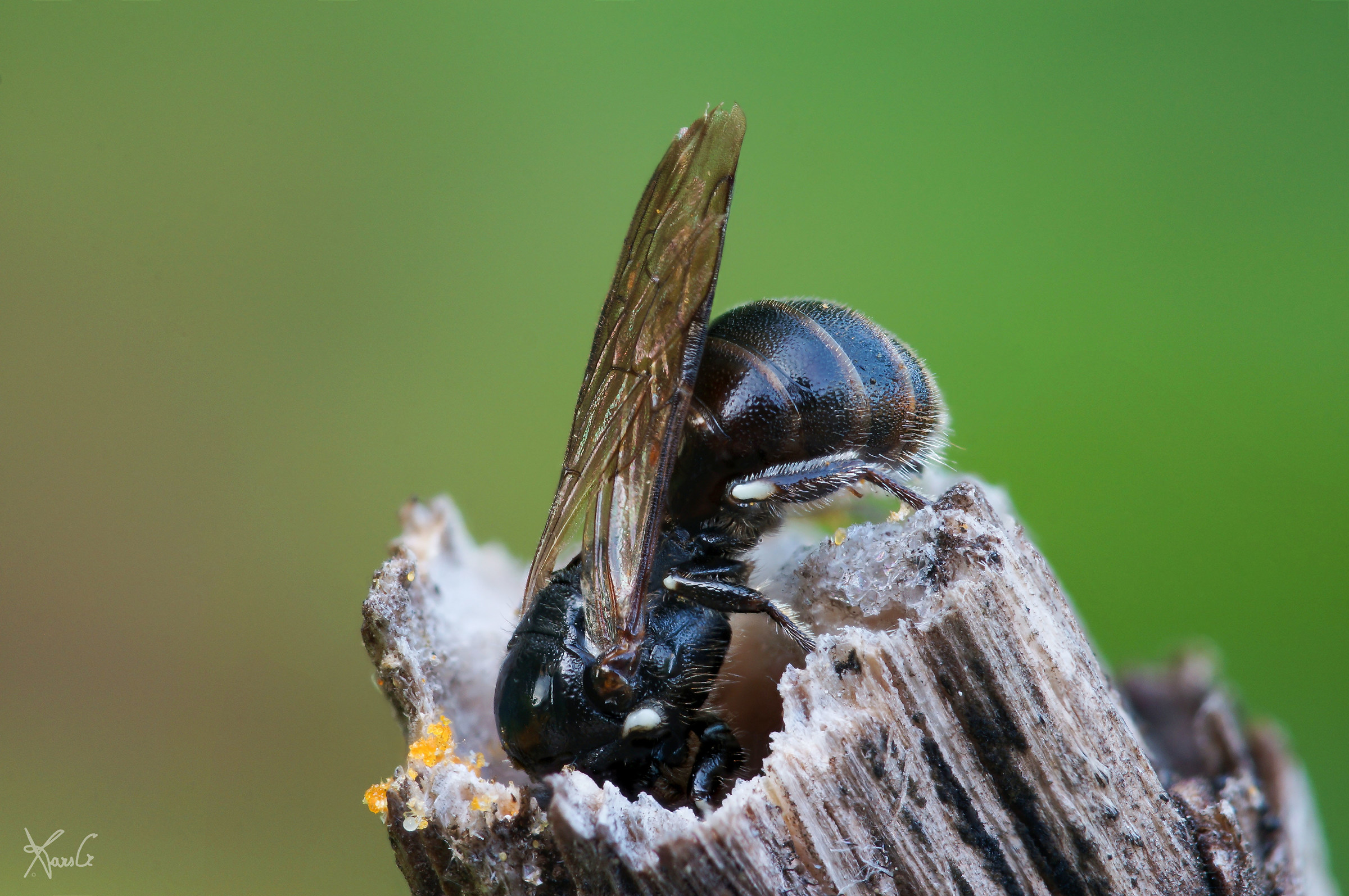 Ehilà, is there anybody ??